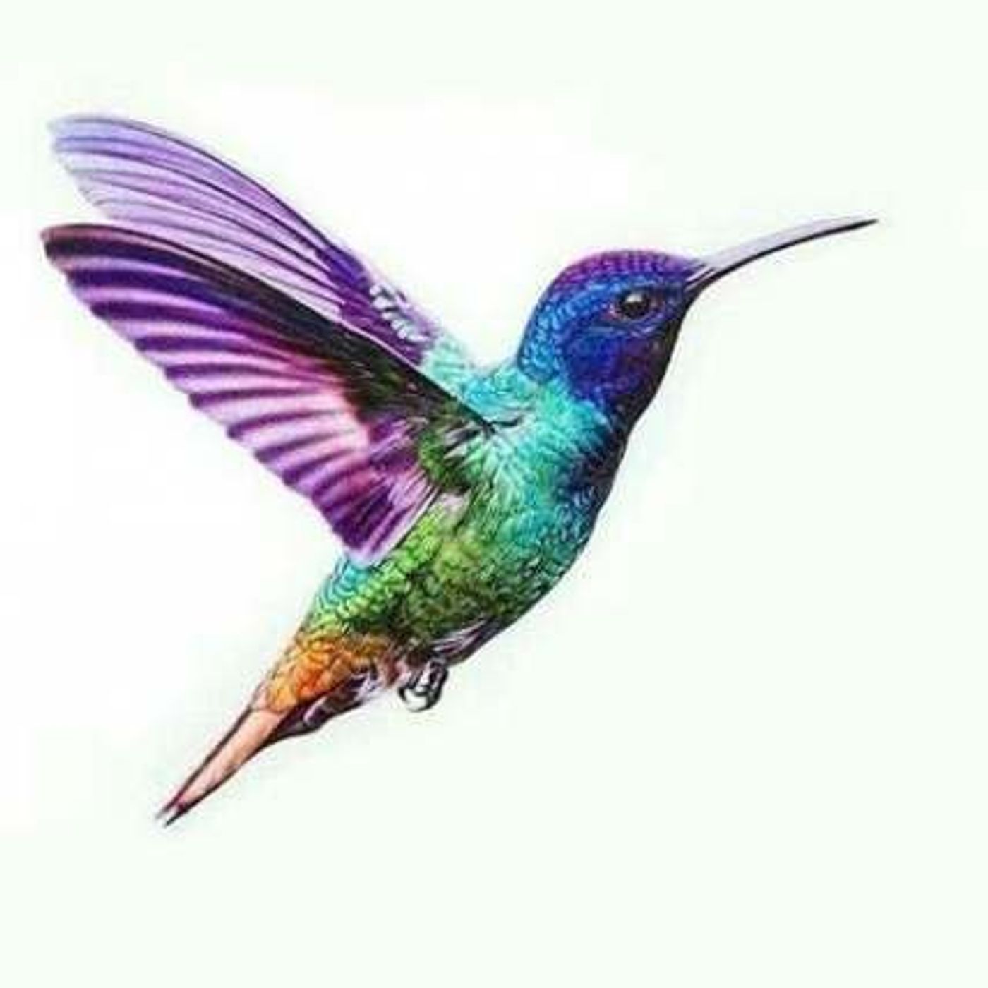 Comunidades de aprendizaje cover art