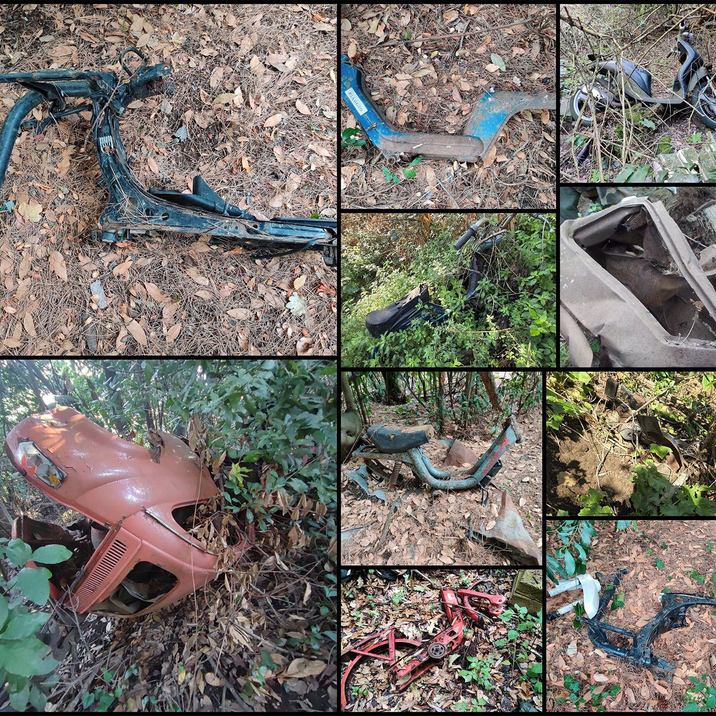 Villa Ada, storia e storie