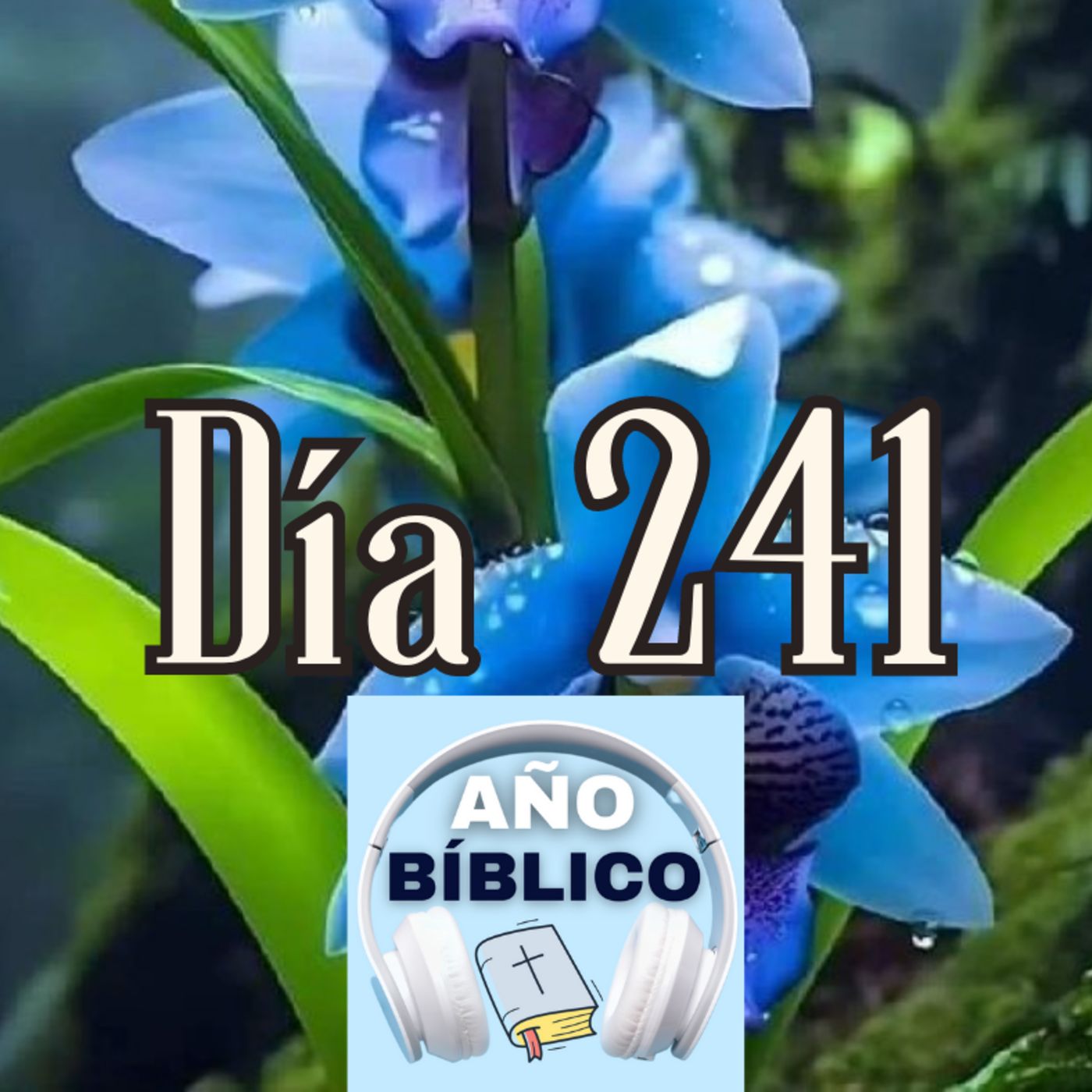 Día 241 - Salmo 100, Eclesiastés 1-3 y 2 Corintios 1:12-24 episode artwork