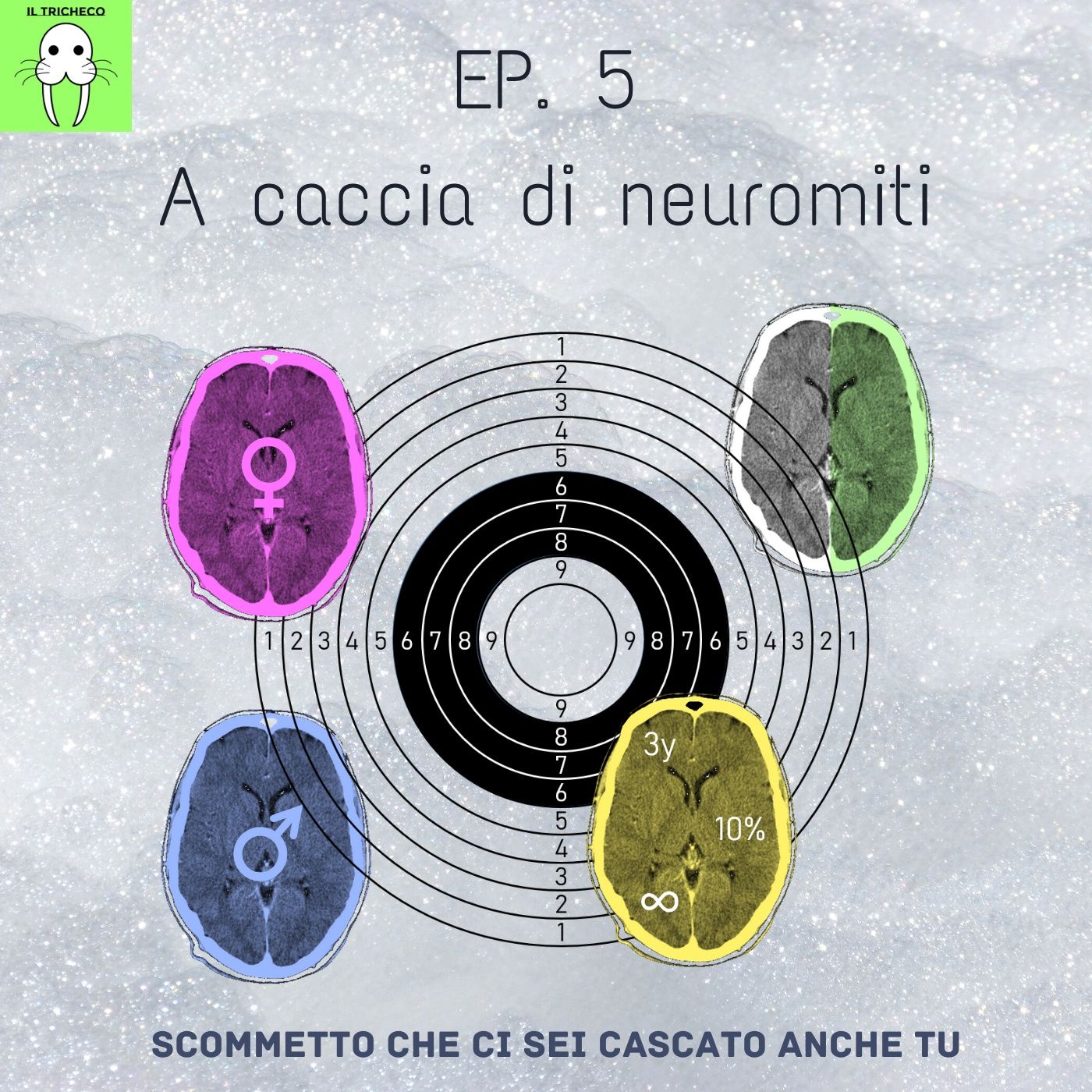 Il Tricheco