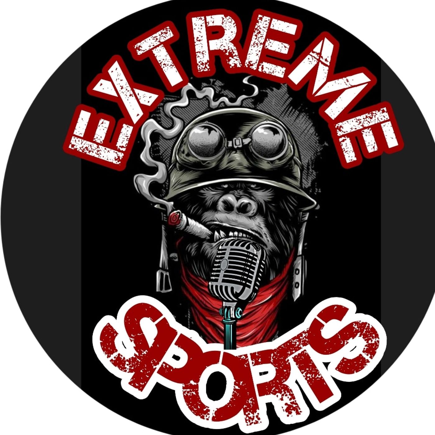 Extremesportsw Big T