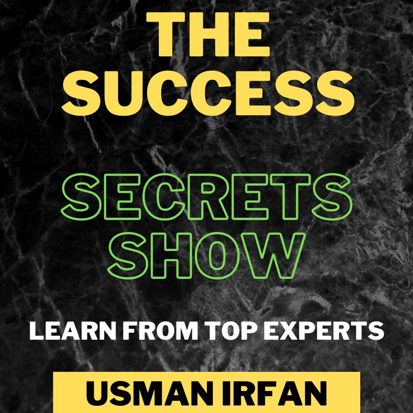 THE SUCCESS SECRETS SHOW