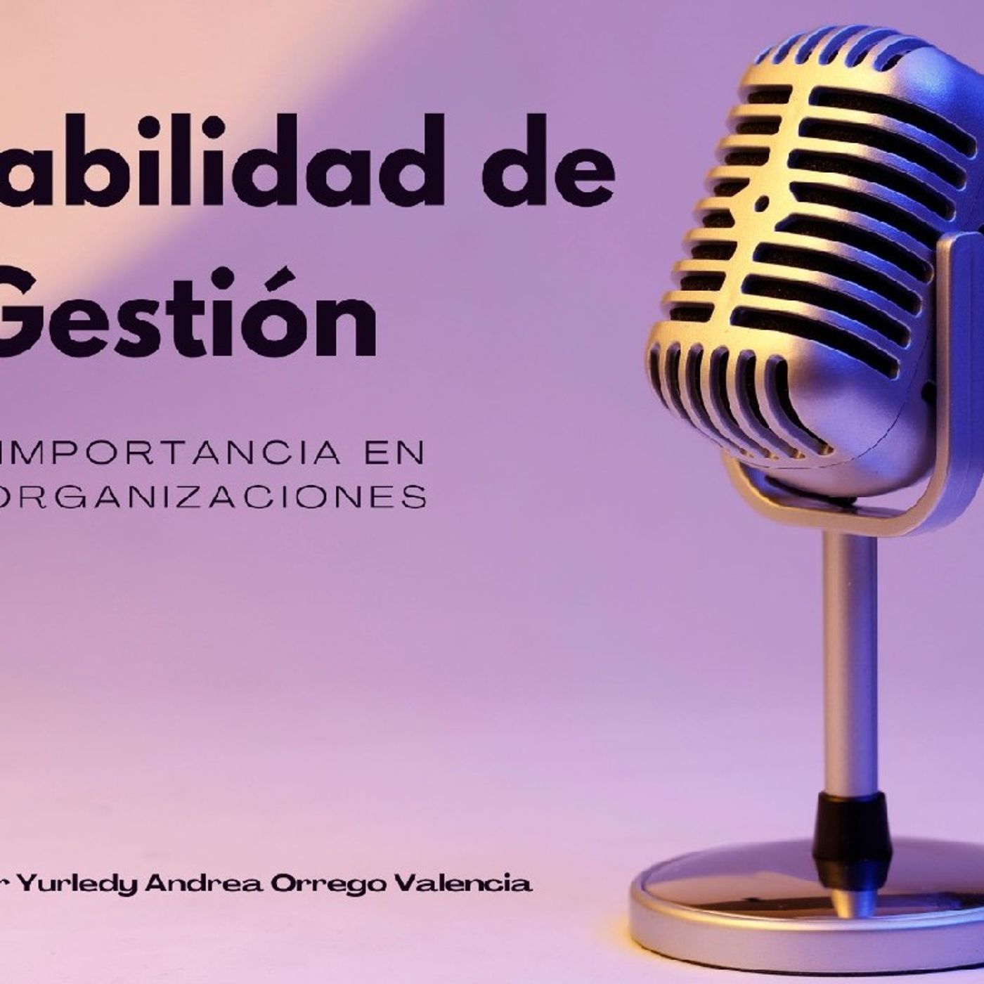 Podcast Contabilidad de gestión episode artwork