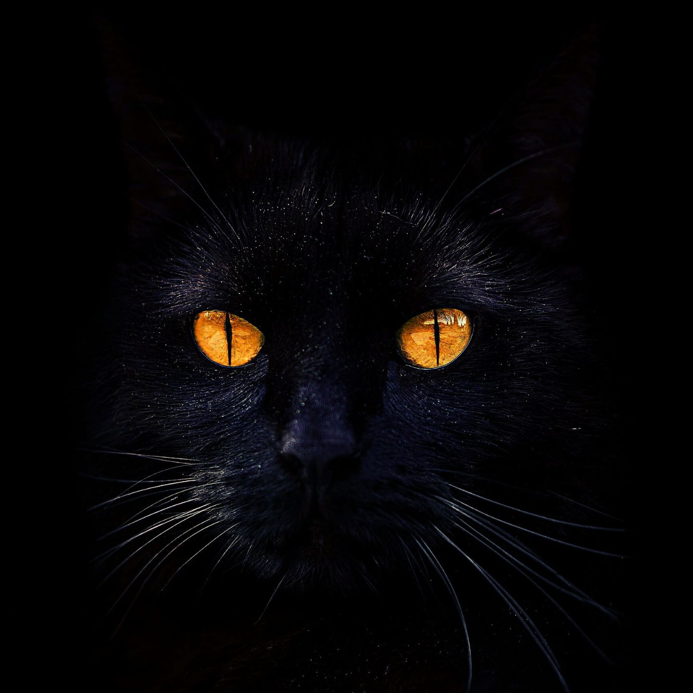 Rodeados Historias De Terror - REDE