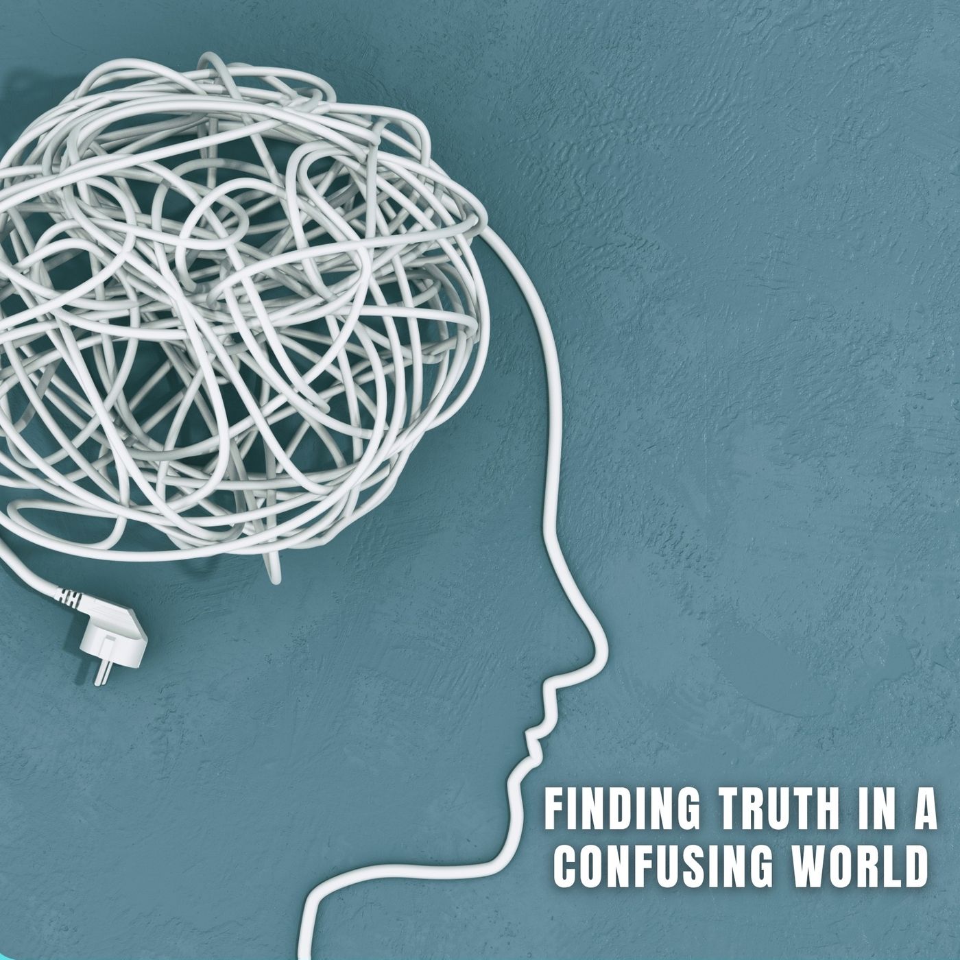 Truth in a Cacophony of Information episode artwork
