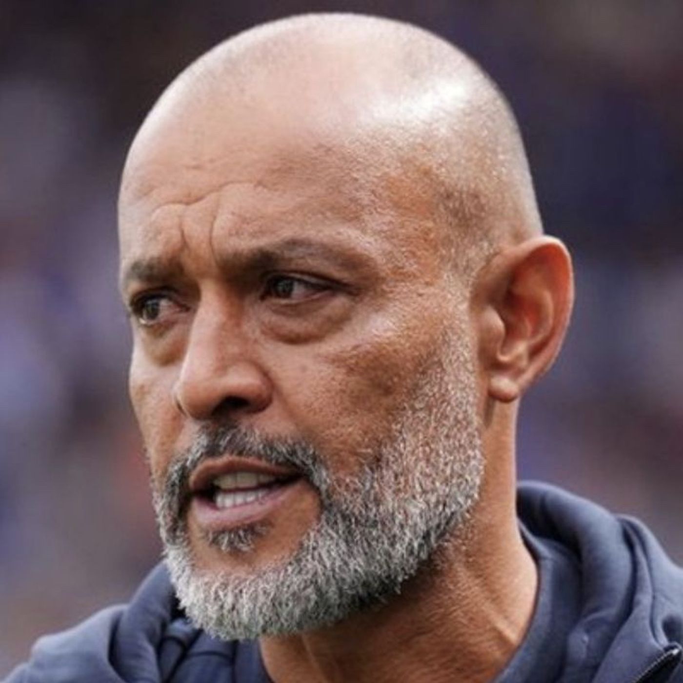 The Football Referee