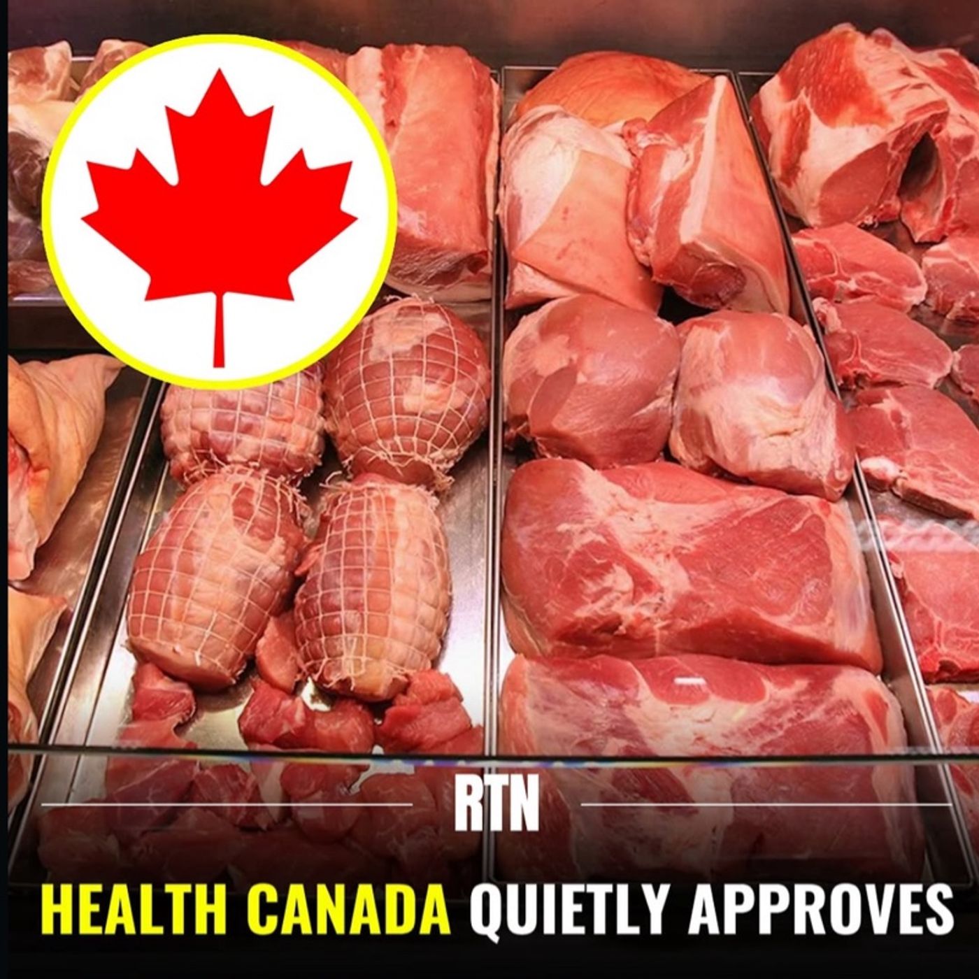 Cloned MEAT in Canada(SPONSORED BY WEF & Agenda 2030?!)