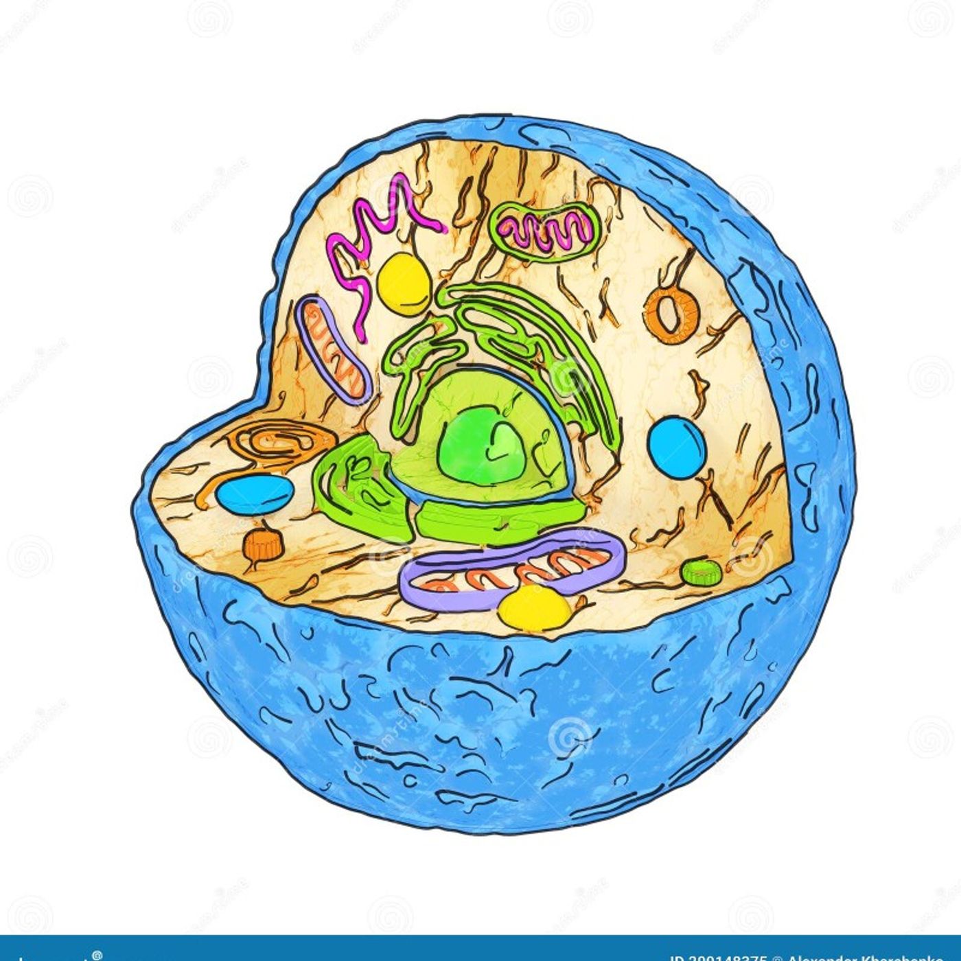 La célula episode artwork