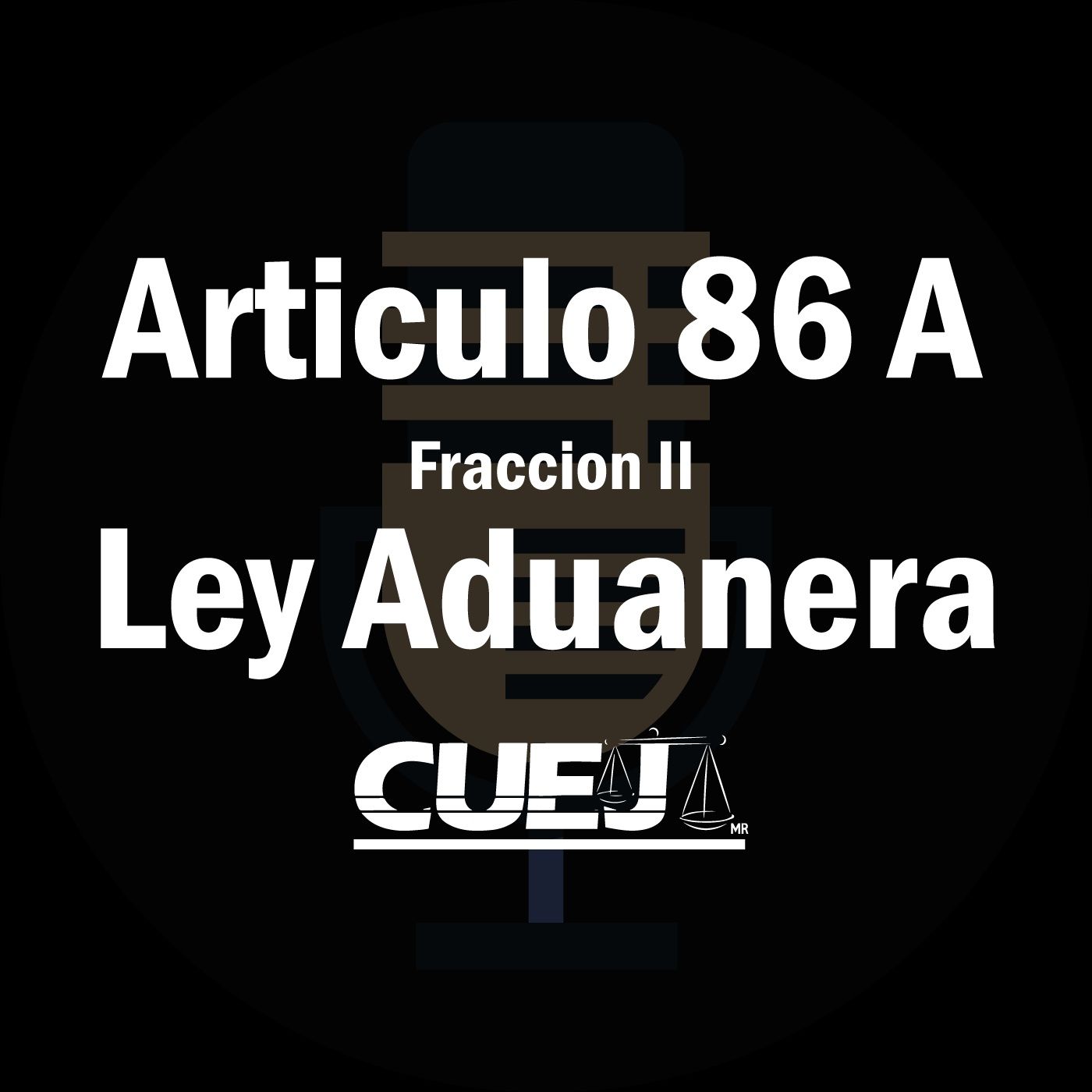 Audio Ley Aduanera