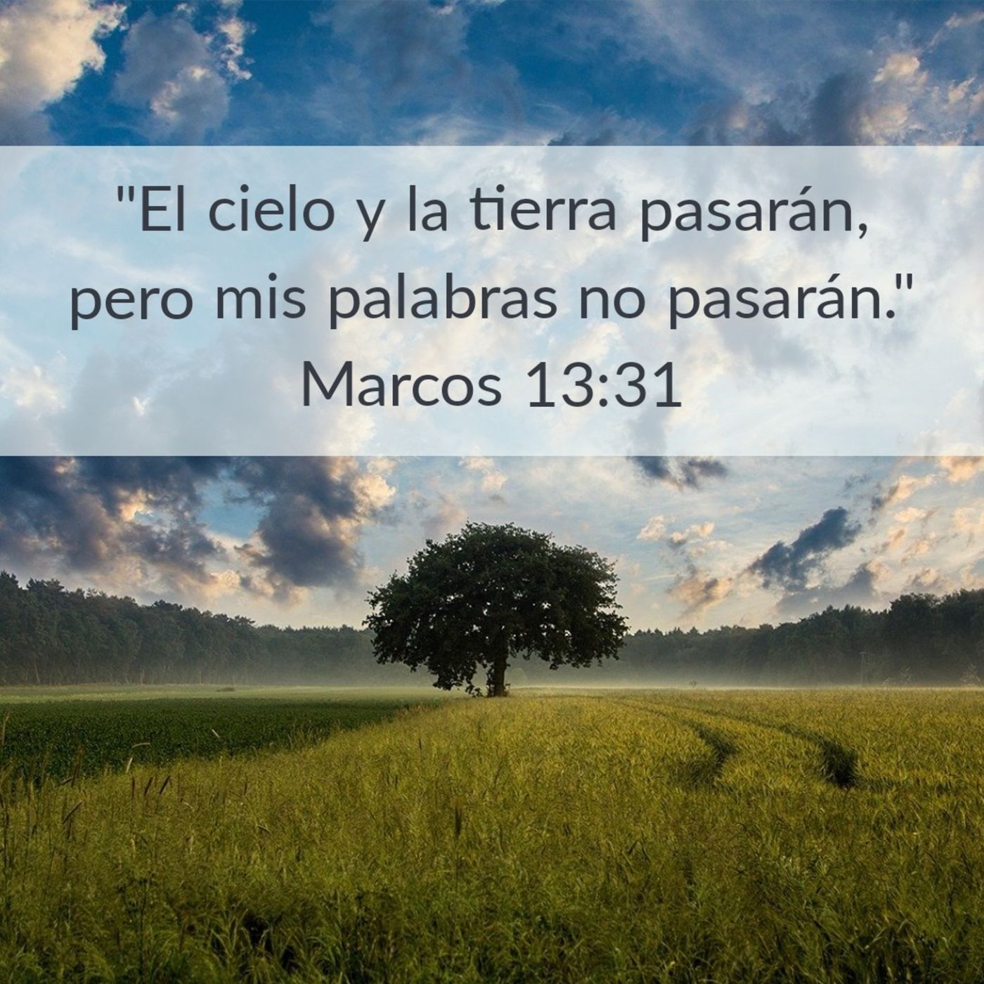 Evangelio de Marcos