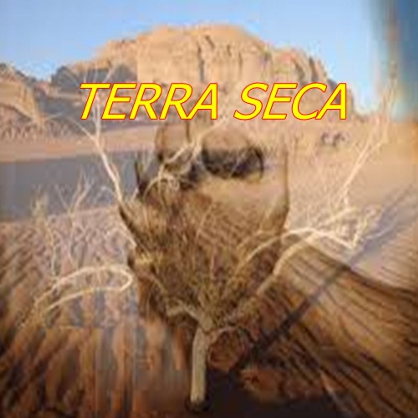 amarildo viana souza\'s tracks