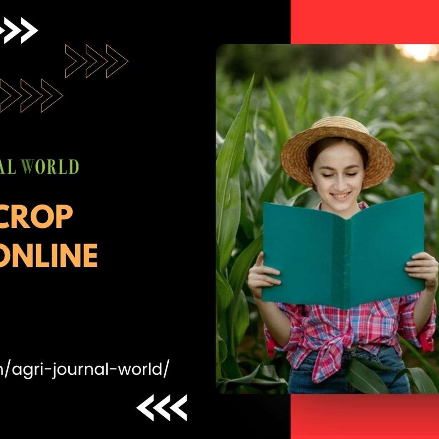 Online Agriculture Article Publication –