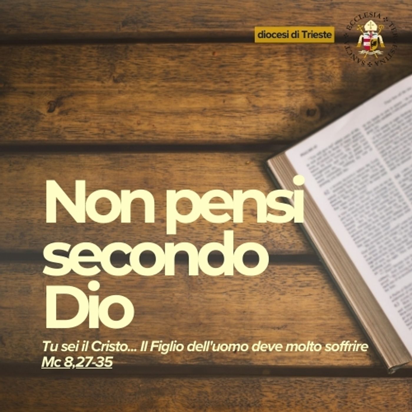 15 settembre - XXIV Domenica TO - Non pensi secondo Dio episode artwork