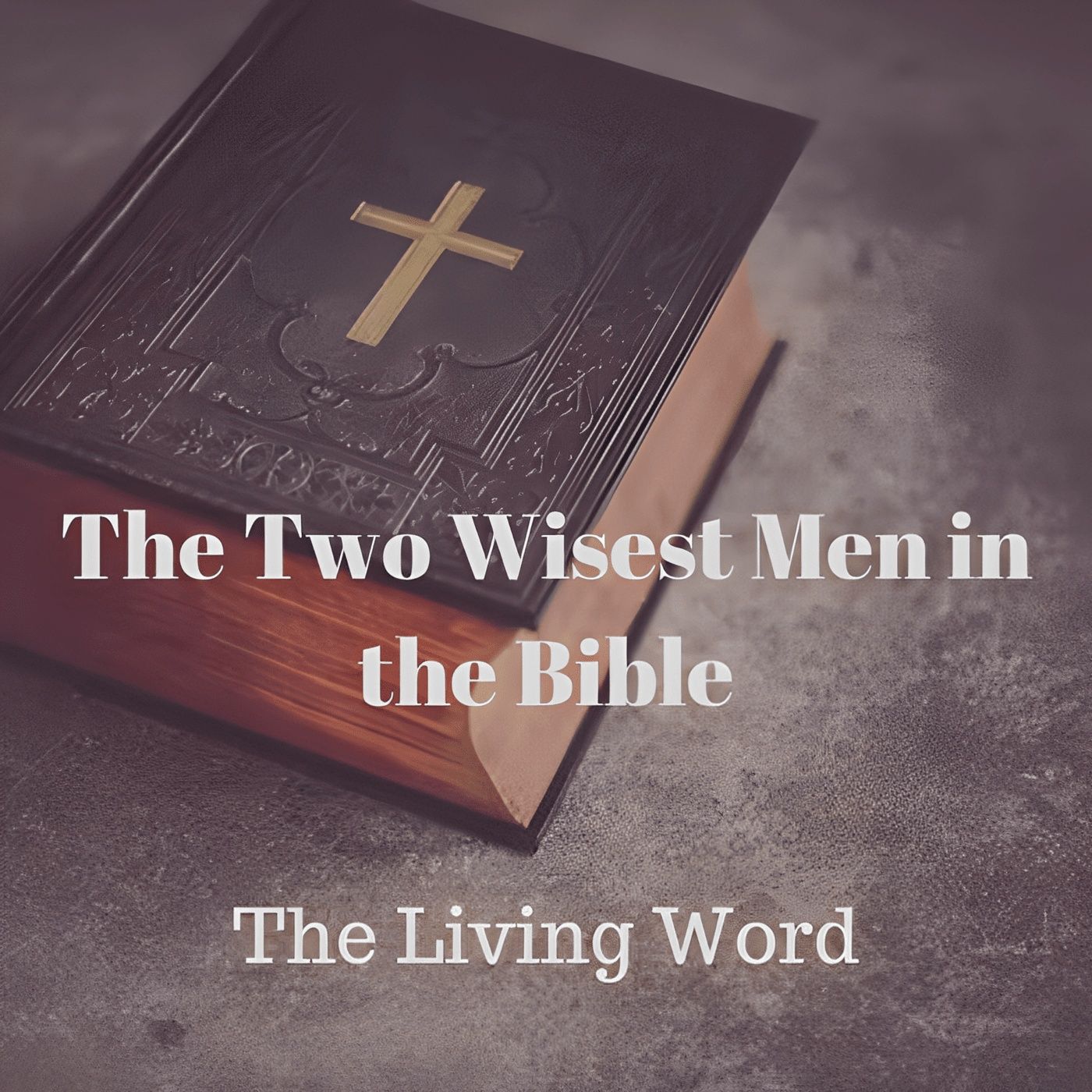 The Two Wisest Men In the Bible episode artwork