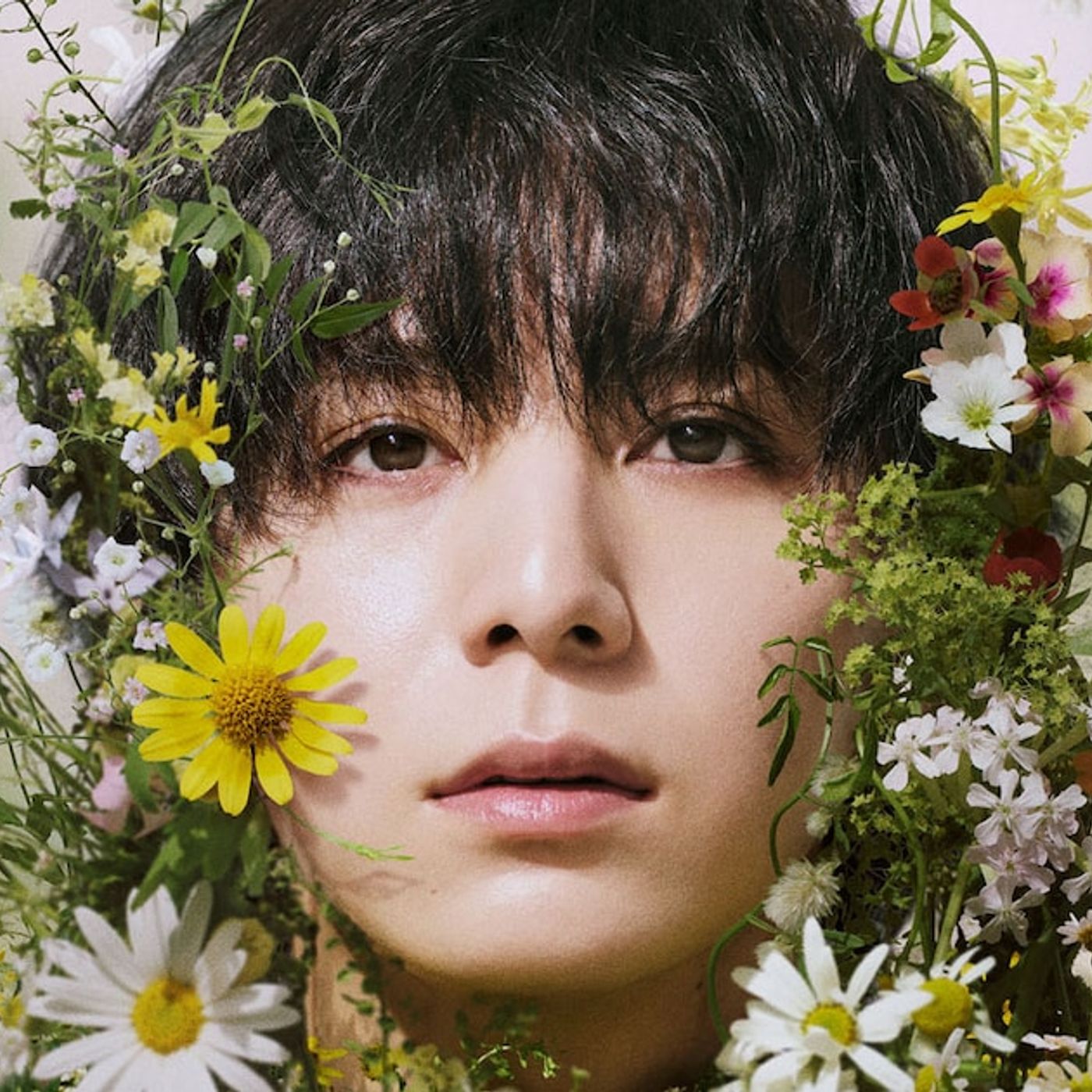 山田涼介主演、ヒューマンミステリードラマ「一次元の挿し木」7月スタート（コメントあり） - 音楽ナタリー episode artwork