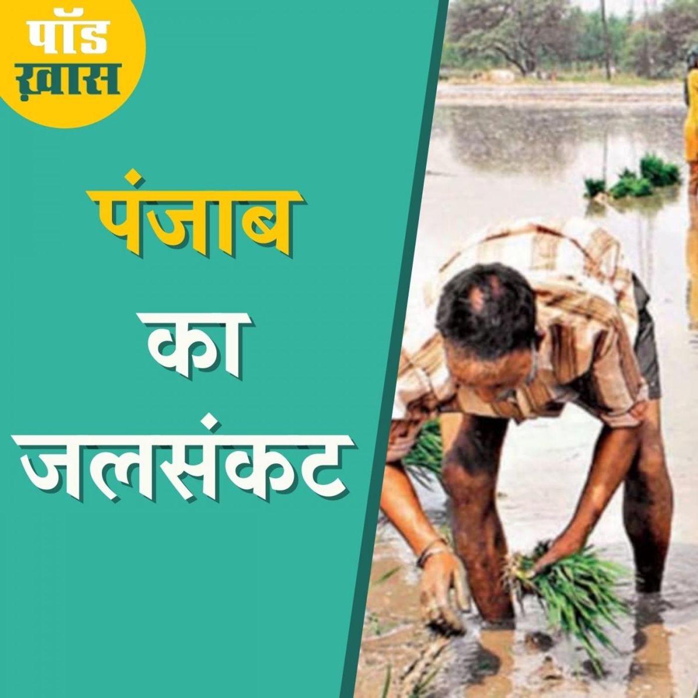 कृषि आंदोलन के बीच पंजाब के गिरते जलस्तर पर बात क्यों ज़रूरी?: पॉड ख़ास, Ep 635 episode artwork
