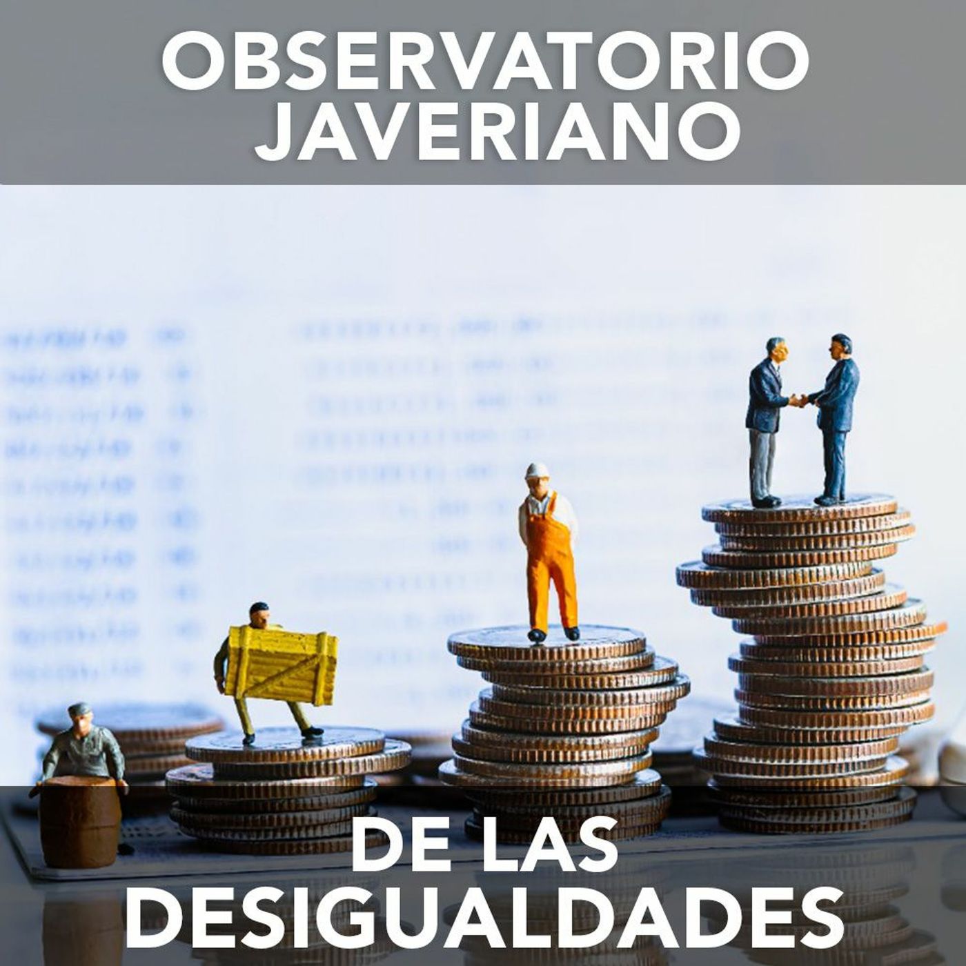 Observatorio javeriano de las desigualdades | Desafíos RCN-Javeriana episode artwork