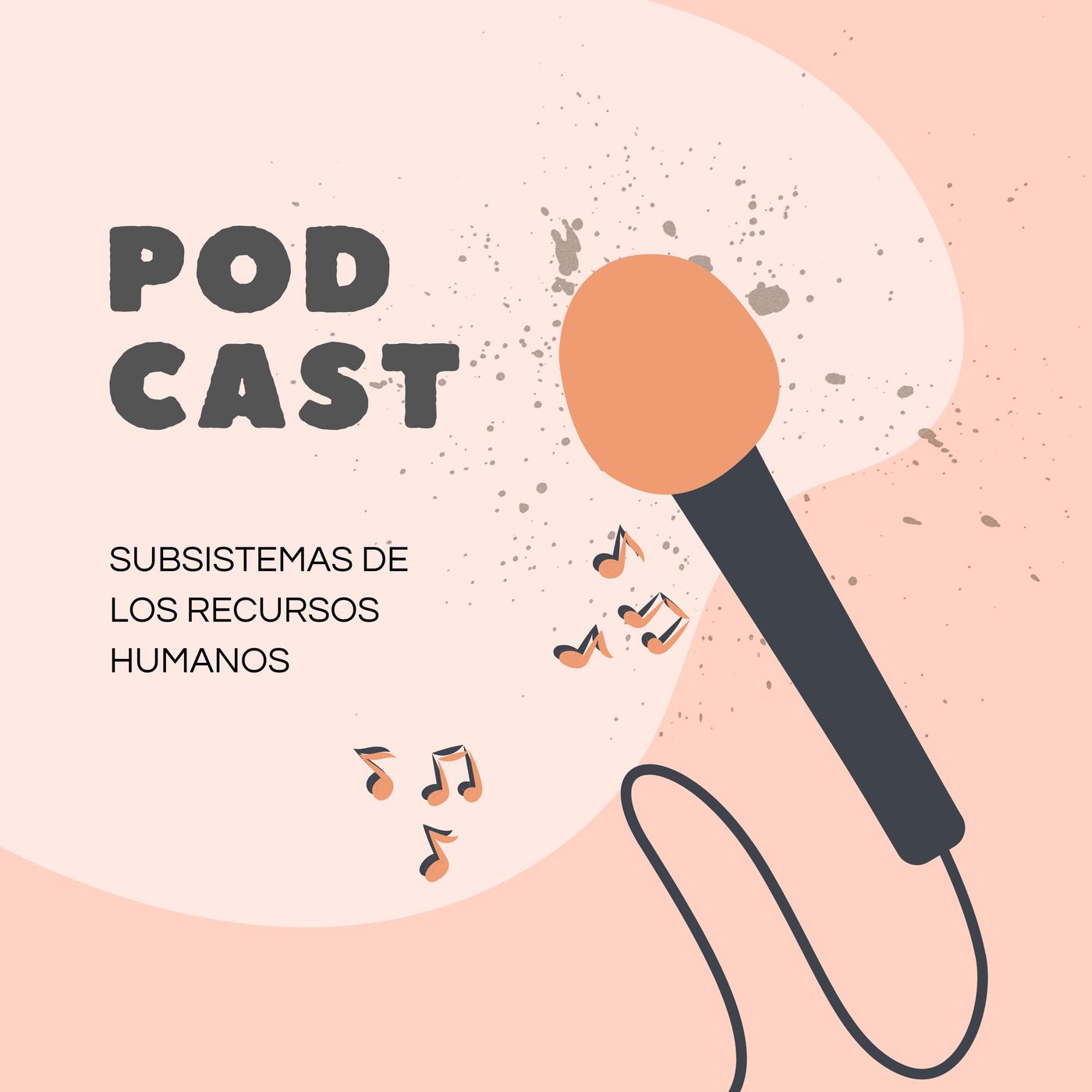 Los subsistemas en los Recursos Humanos