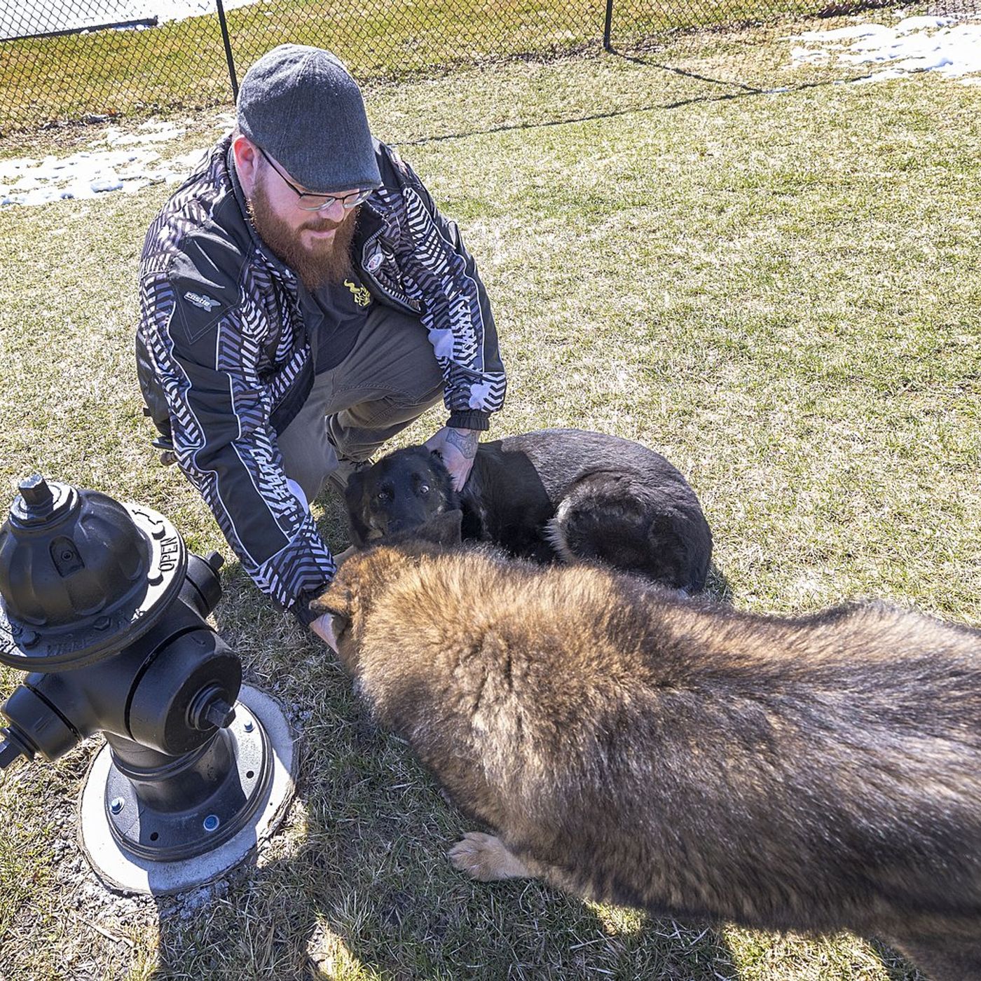 Sterling’s Dogwood Acres gets new additions for man’s best friend episode artwork