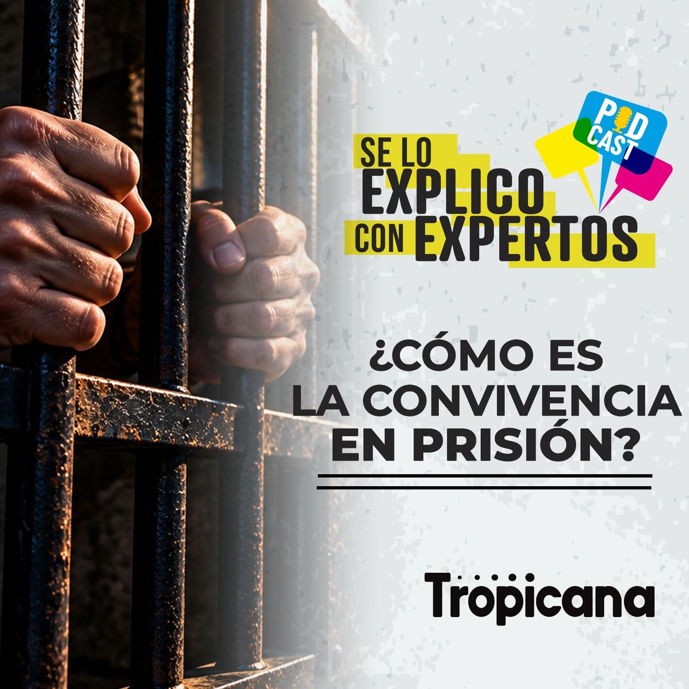 Portada de Se lo explico con expertos