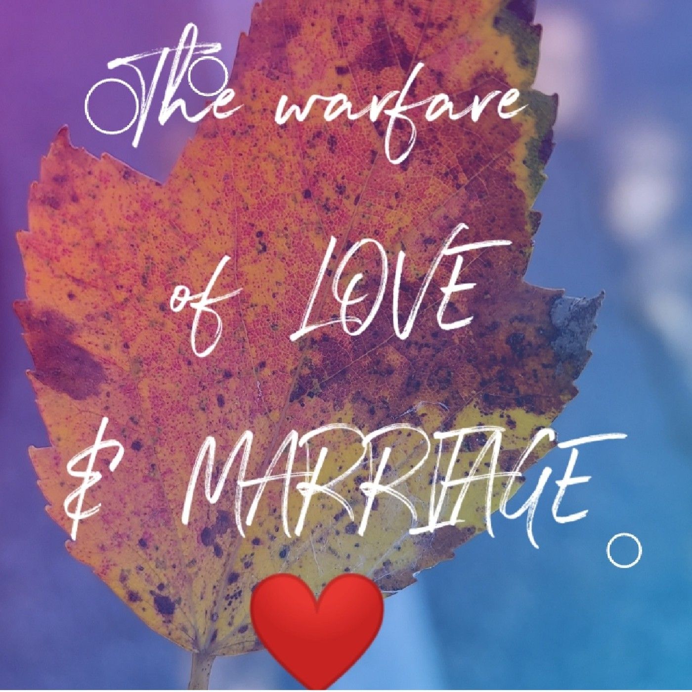 The Warfare of LOVE & MARRIAGE cover art