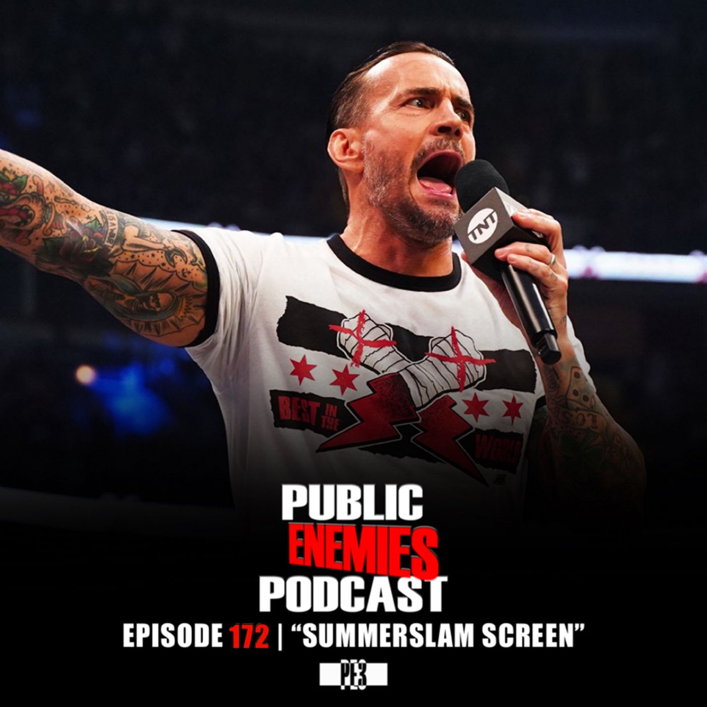 Public Enemies Podcast