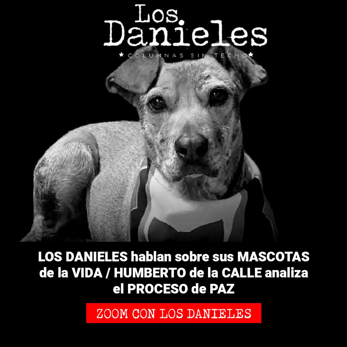 Los Danieles