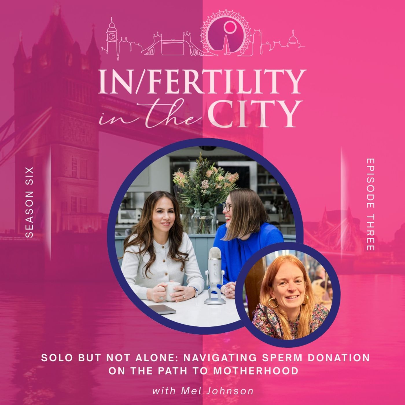 In/Fertility In The City