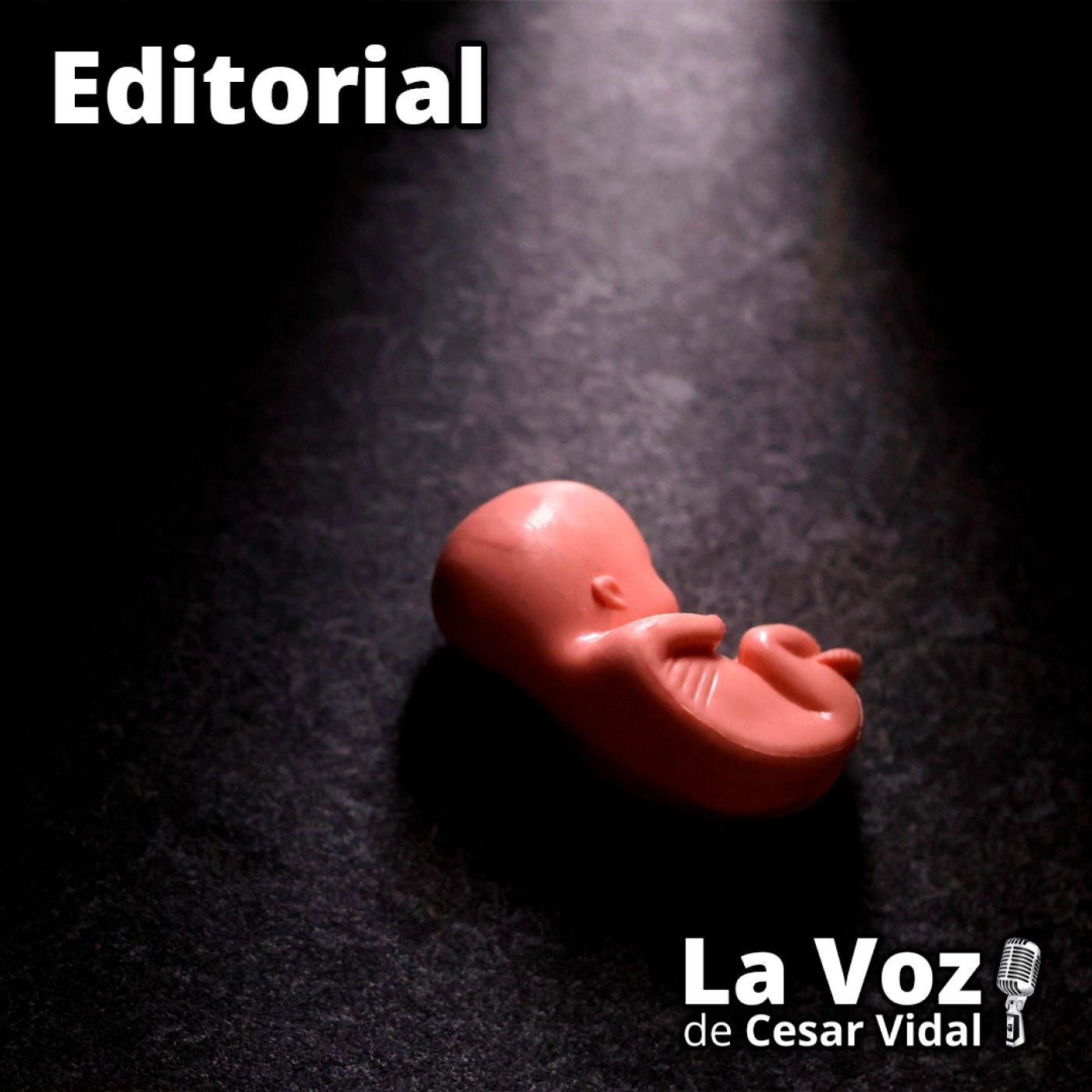 Editorial: El aborto se convierte en la principal causa de mortalidad - 14/01/26 episode artwork