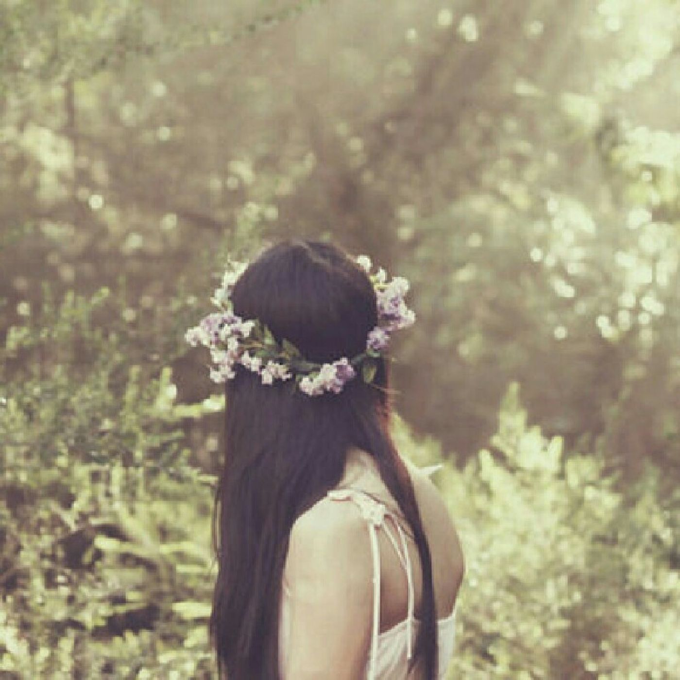 Dreamland