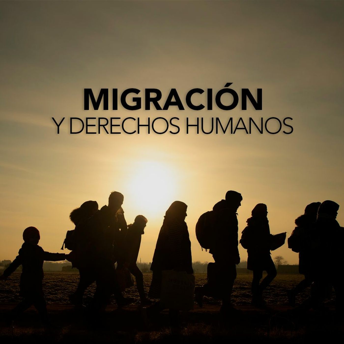 Migración y Derechos Humanos | Desafíos RCN-Javeriana episode artwork