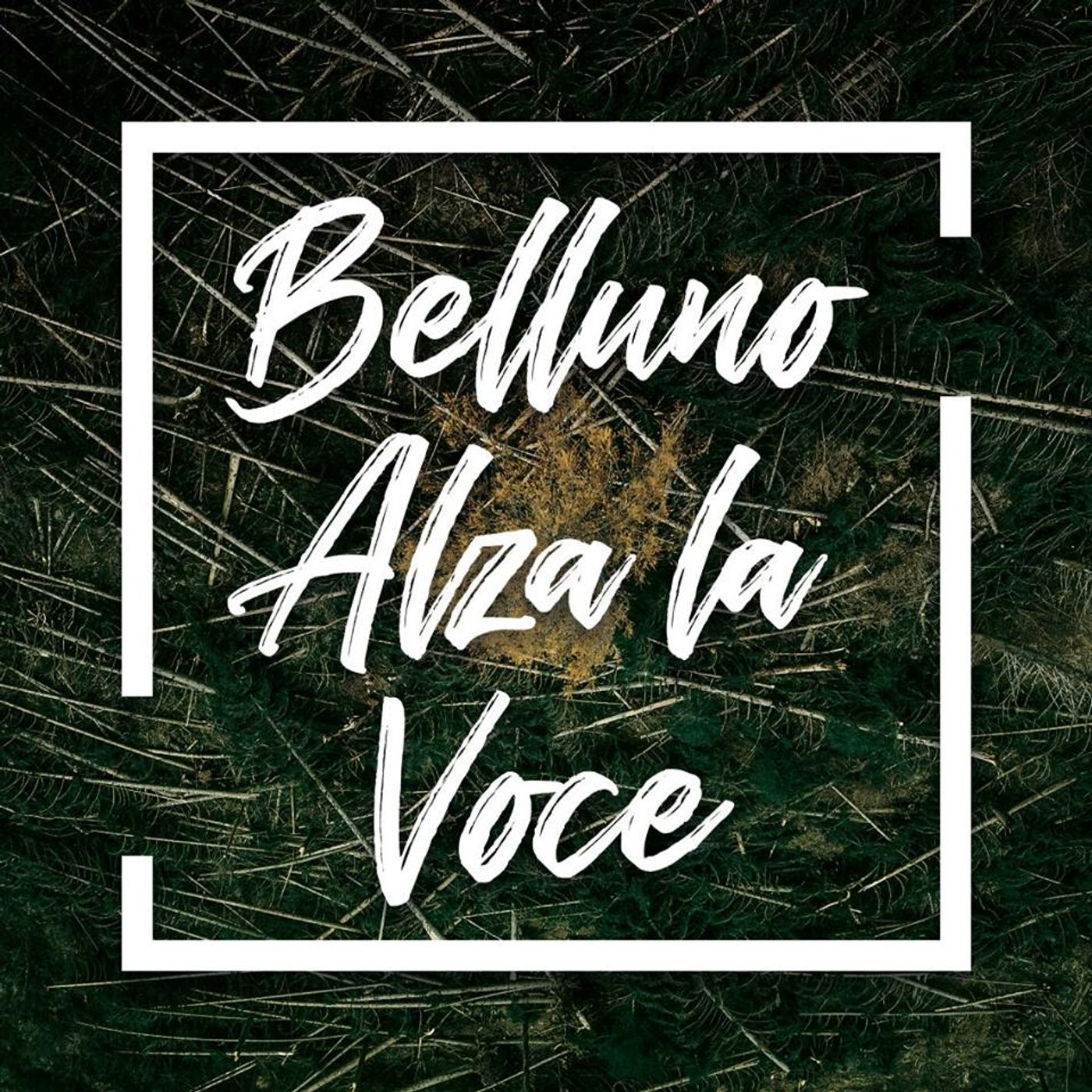 L\'Oro in Bocca - Le interviste | con Guido Beretta