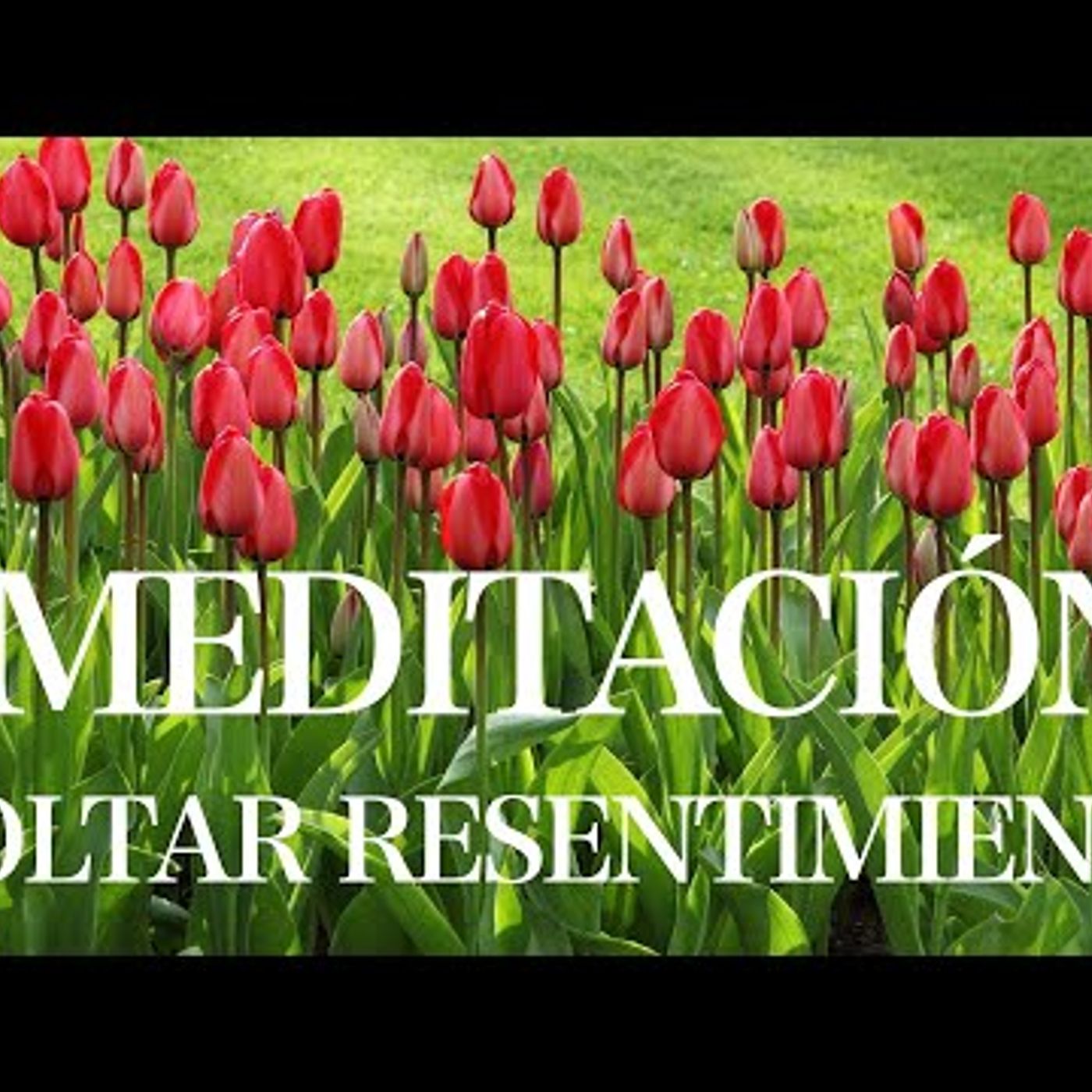 10. Meditación guiada para SOLTAR el RESENTIMIENTO y perdonar