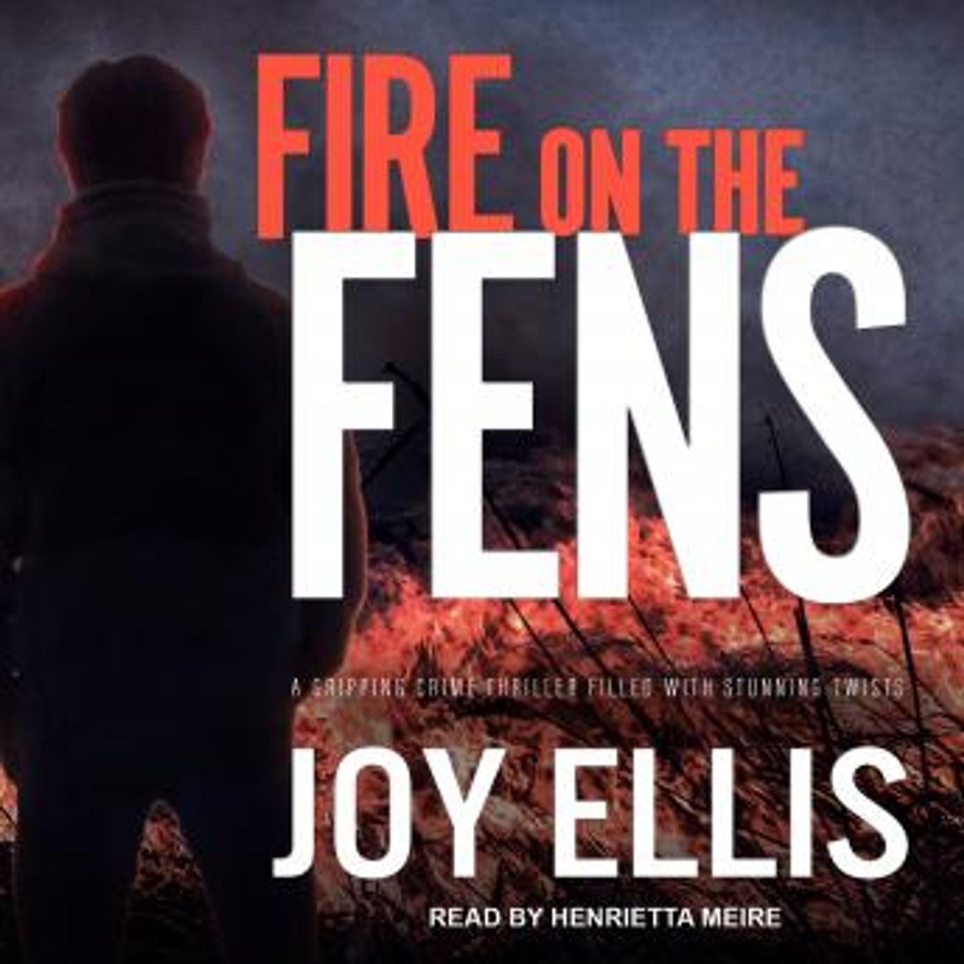 Fire on the Fens by Joy Ellis episode artwork