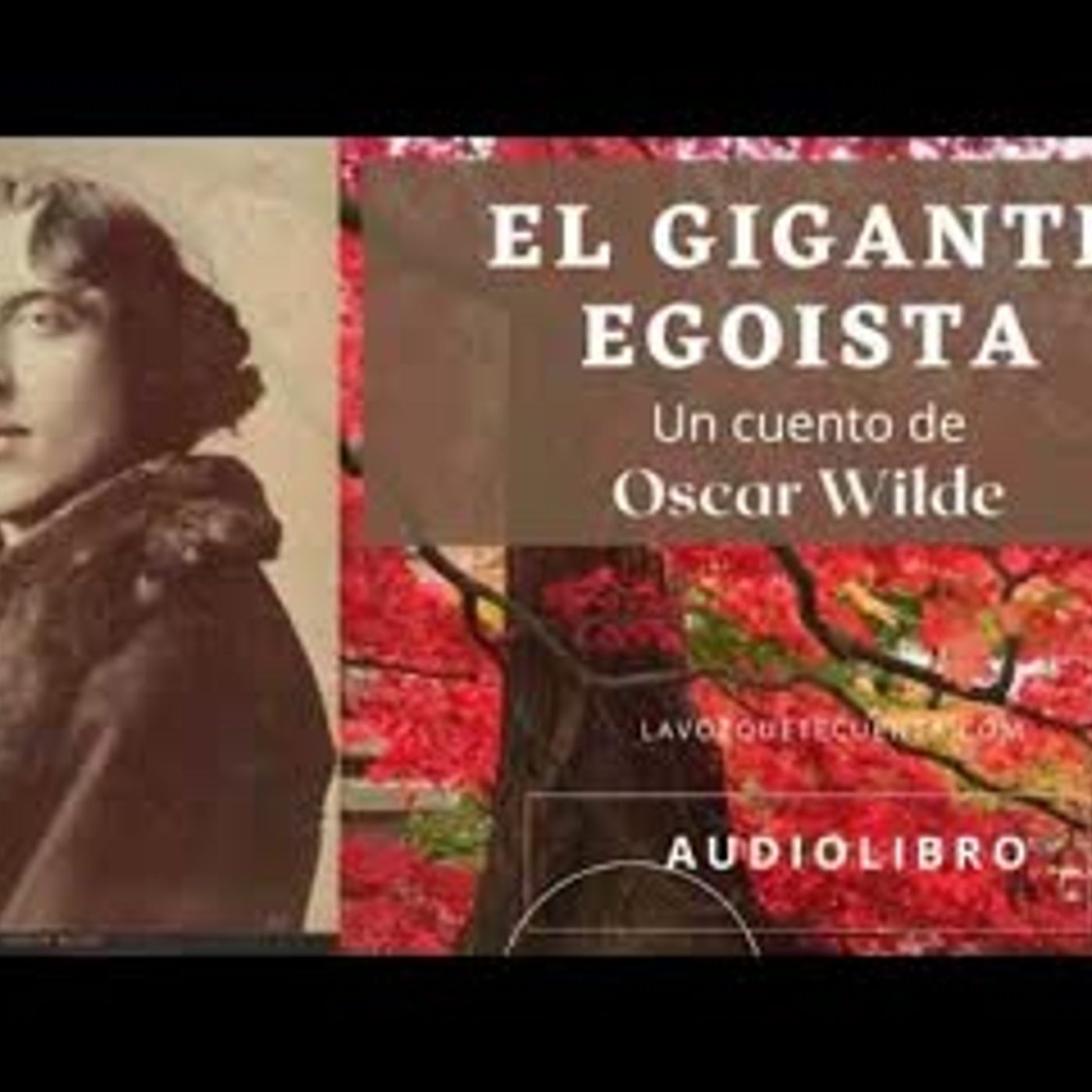 Audiolibro En Español