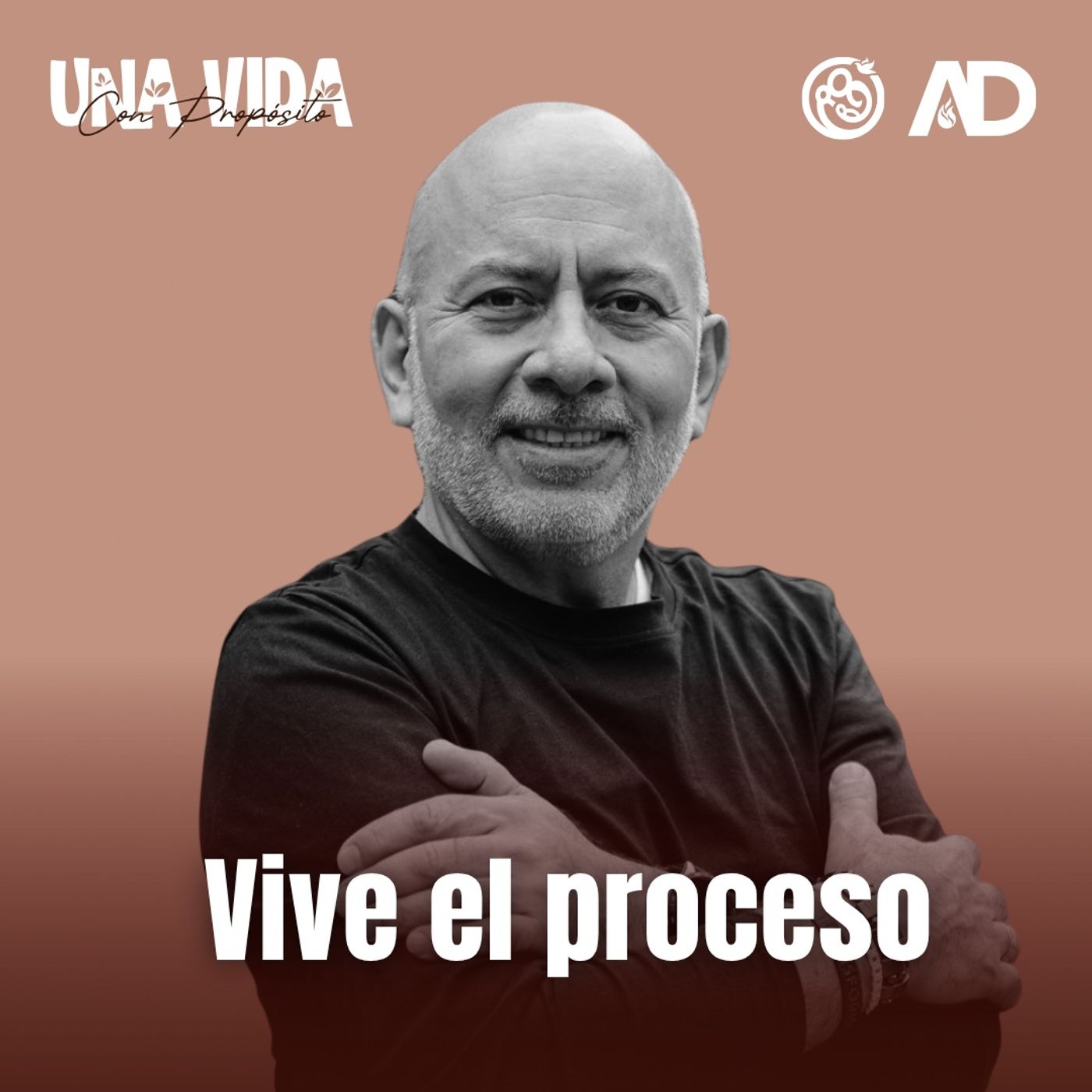 DIA 28 - Vive el proceso episode artwork