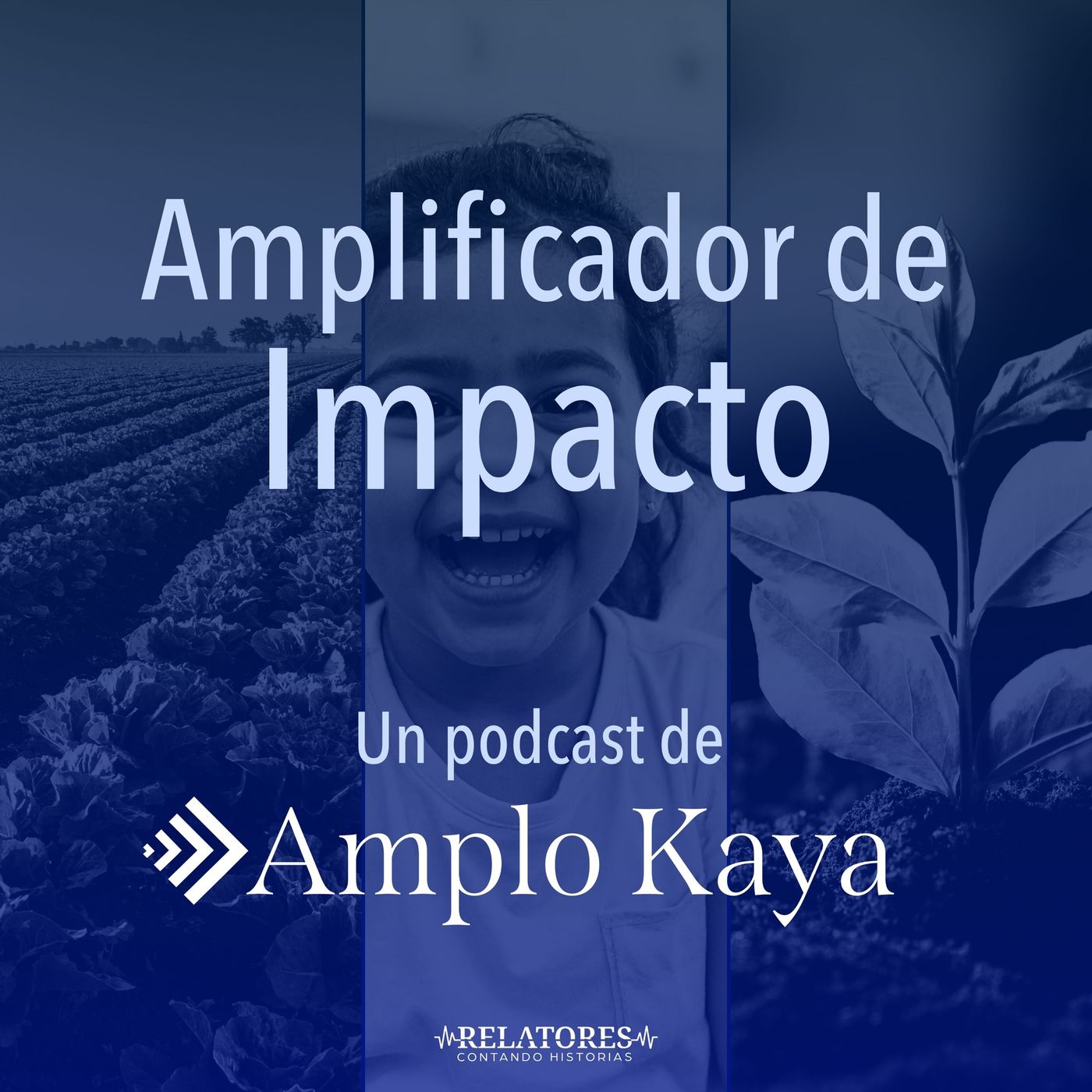 Amplificador de Impacto