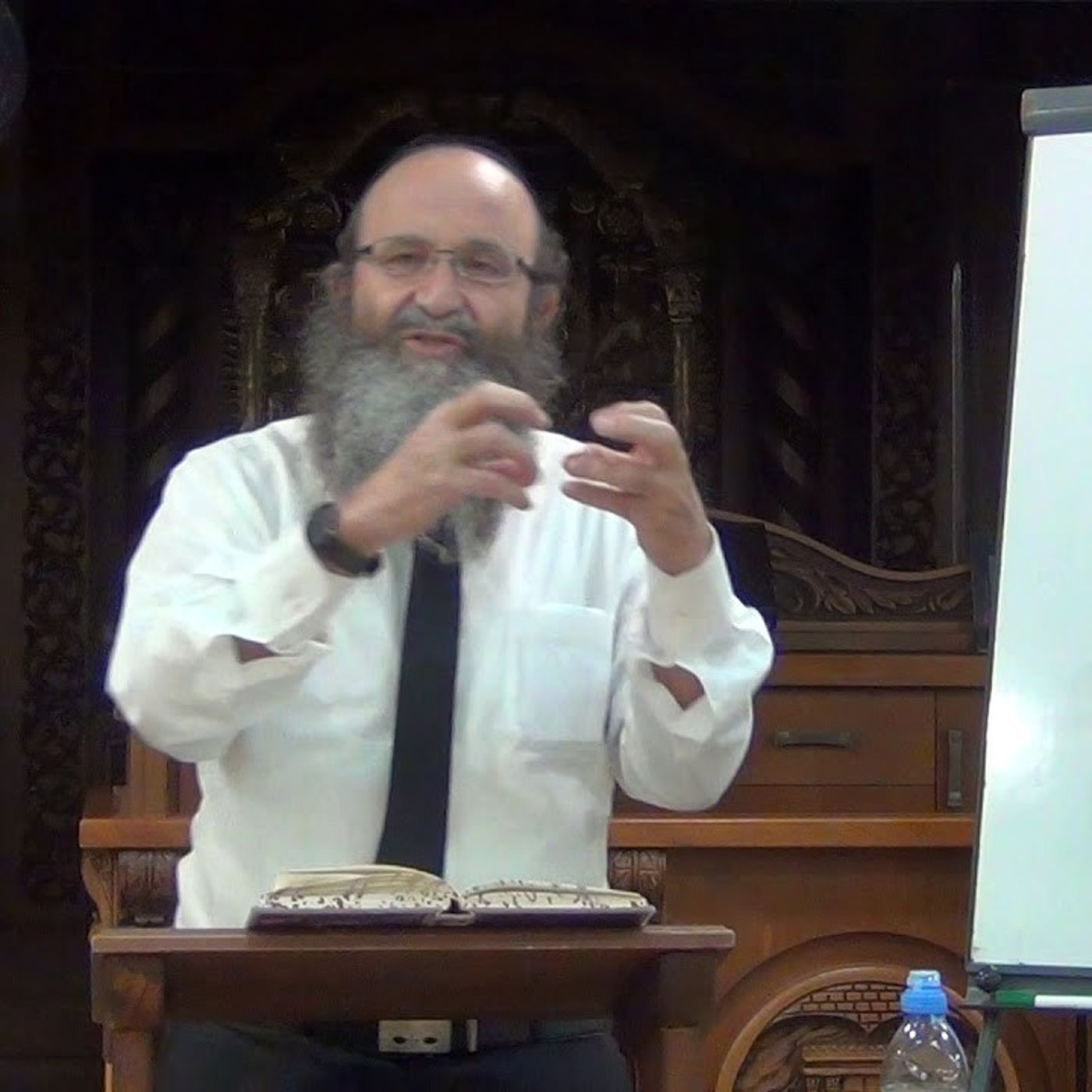 שיעור ט"ז בספר "שער השמים - בניין אריאל" לרה"ג יעקב הלל שליט"א נמסר מפי כבוד הרה"ג יצחק חלימי שליט"א episode artwork