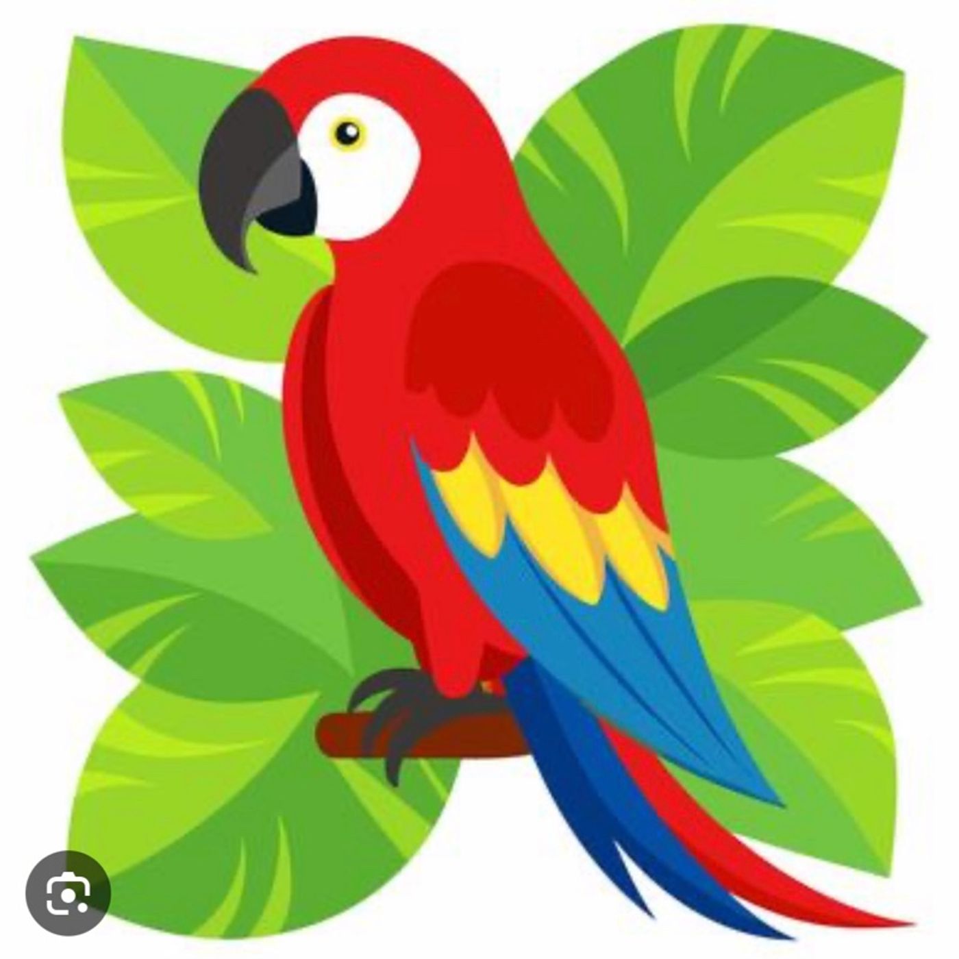 La guacamaya roja episode artwork