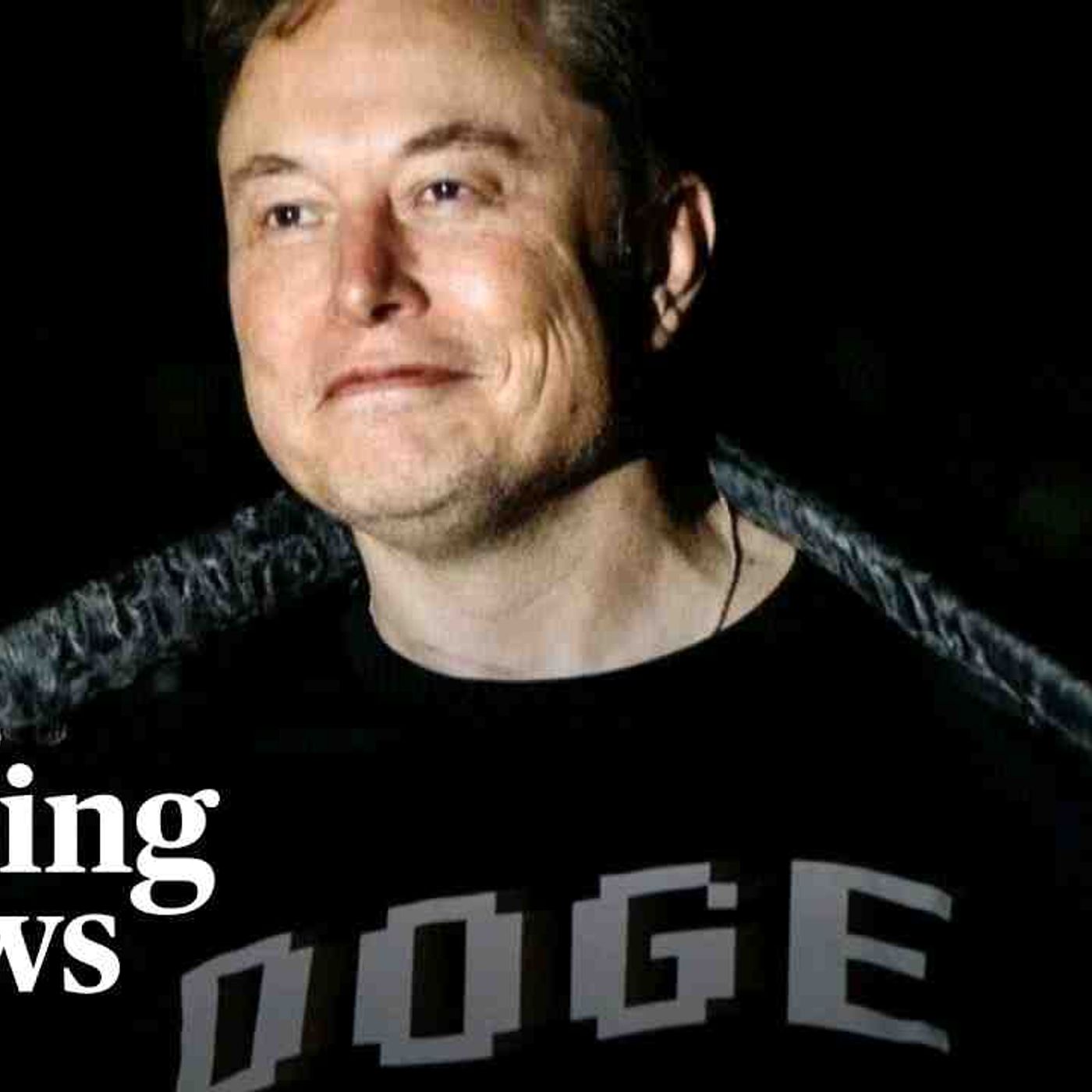 Fired climate scientist says DOGE _a stain_ as Elon Musk exits government(MP3_160K) episode artwork
