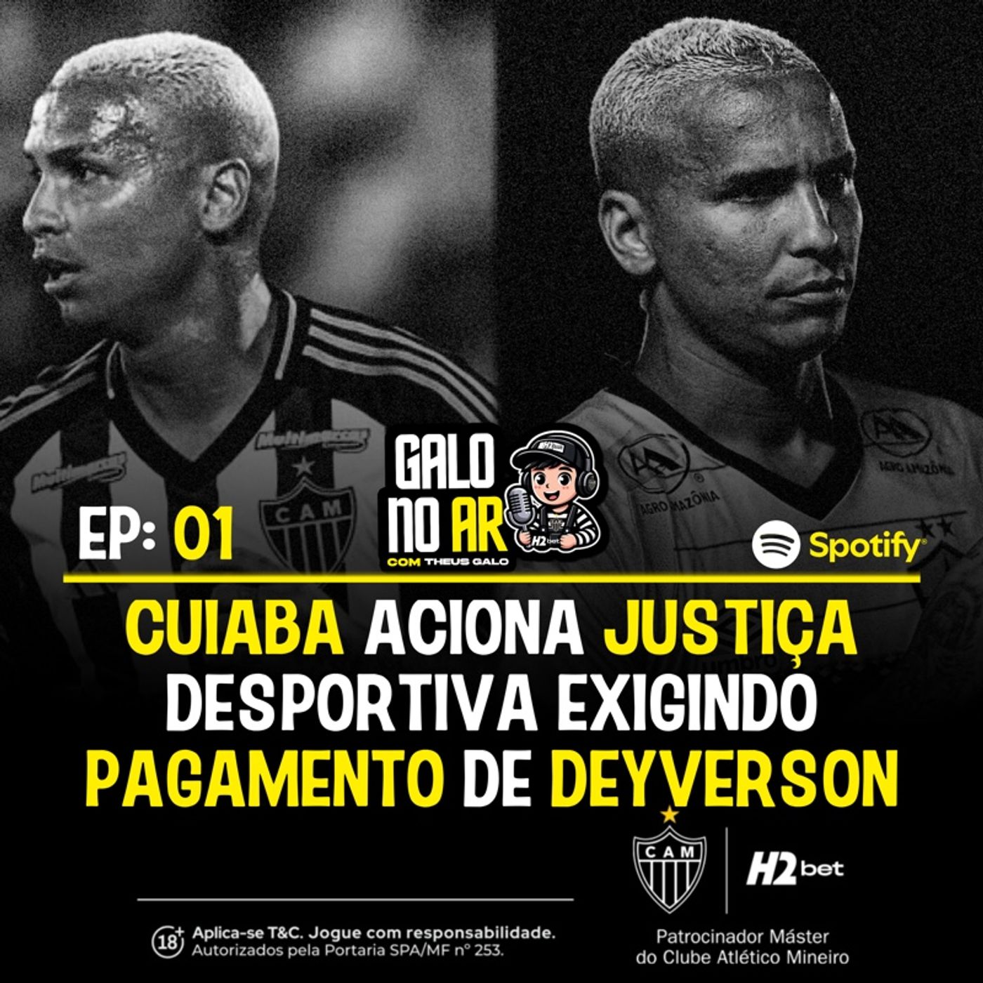 Galo No AR