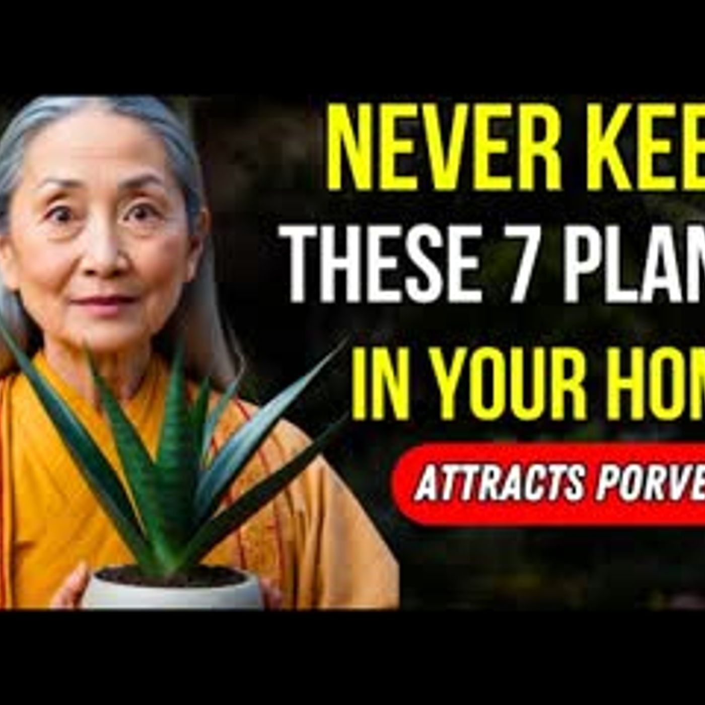 7 PLANTS you should REMOVE from your home, THEY ATTRACT POVERTY AND RUIN   Buddhist Teachings