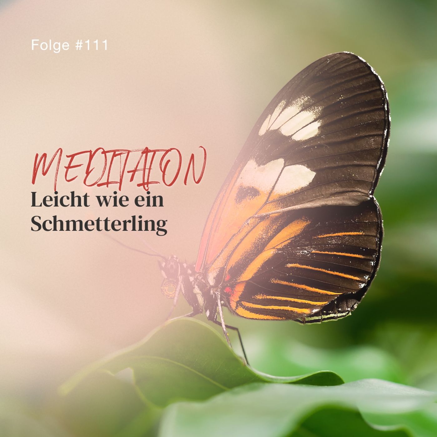 Leicht wie ein Schmetterling | ca. 20 Min | Folge 111 episode artwork