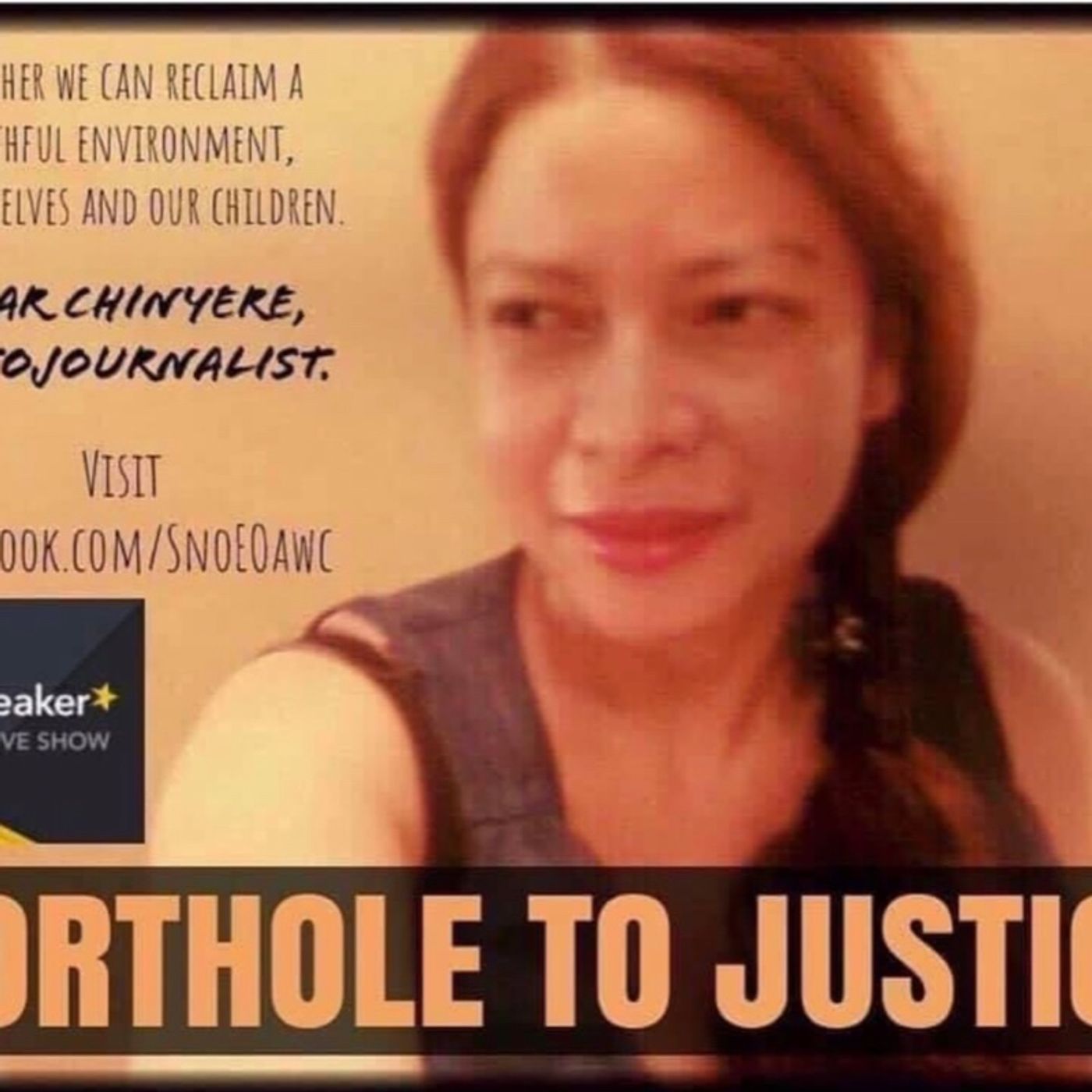 Porthole to Justice