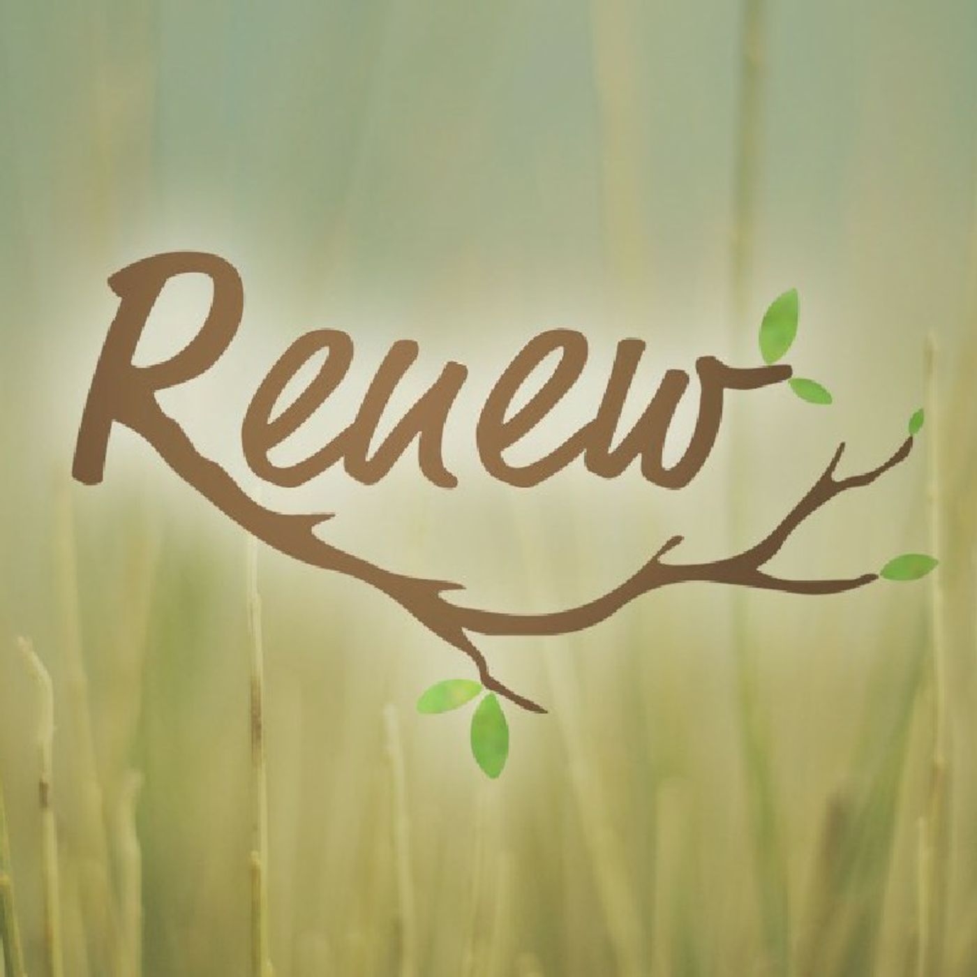 Renew: A Biblical Perspective