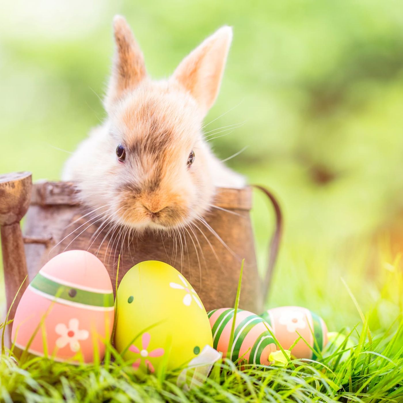 Il weekend di Pasqua + Pasquetta episode artwork