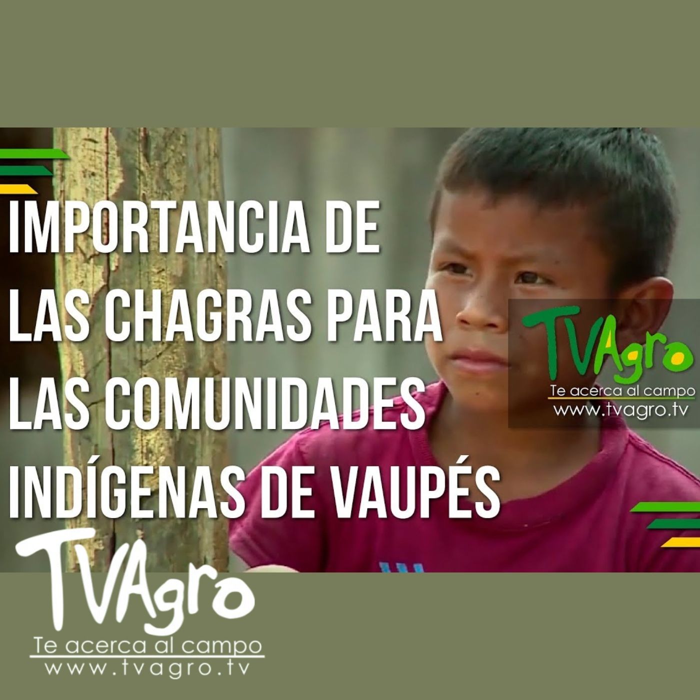 TV AGRO