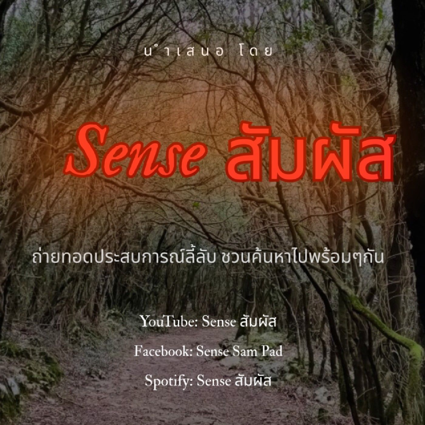 Sense สัมผัส