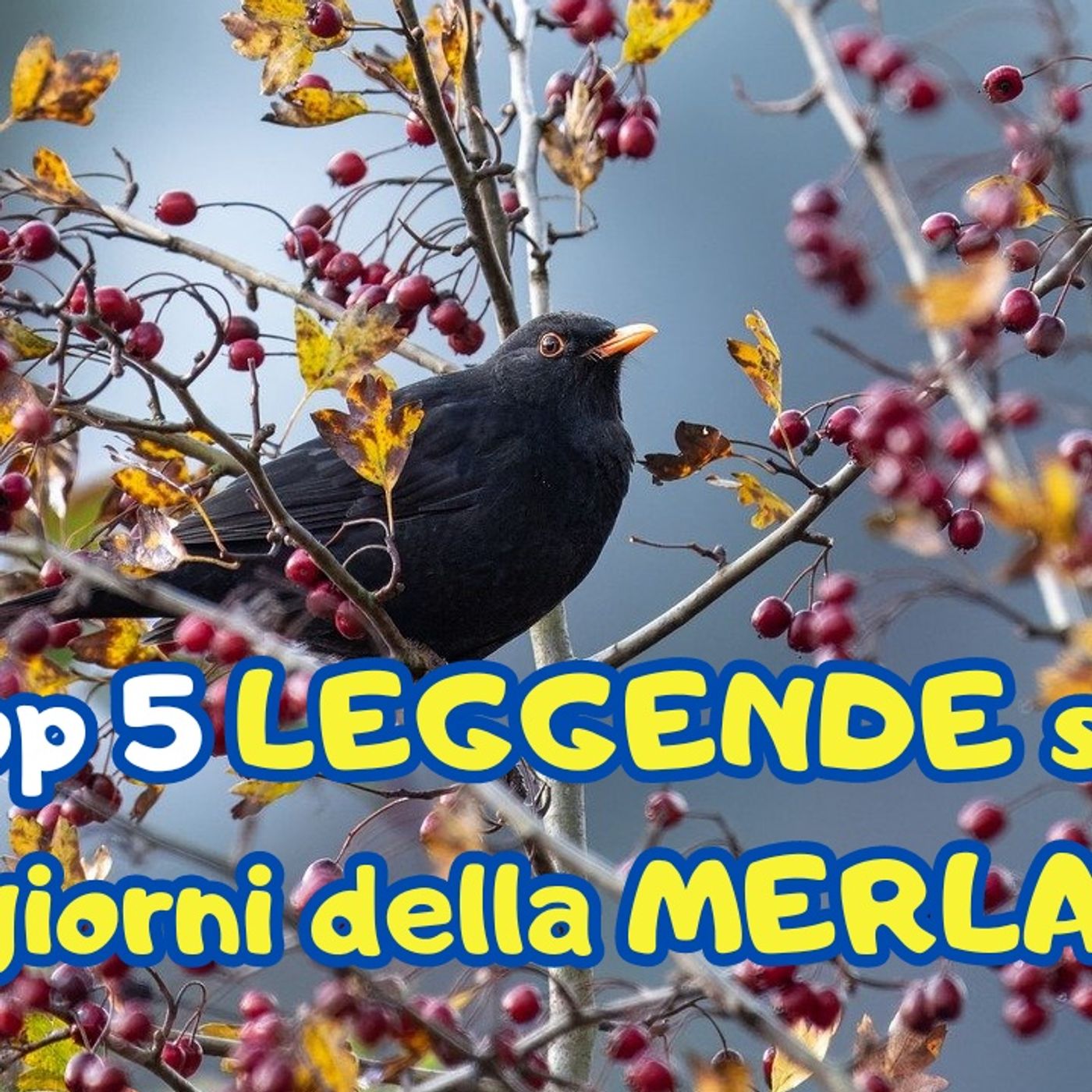 Top Anticipazioni 📺🎦