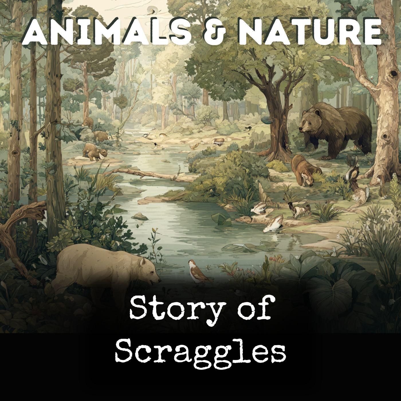 Story of Scraggles cover art